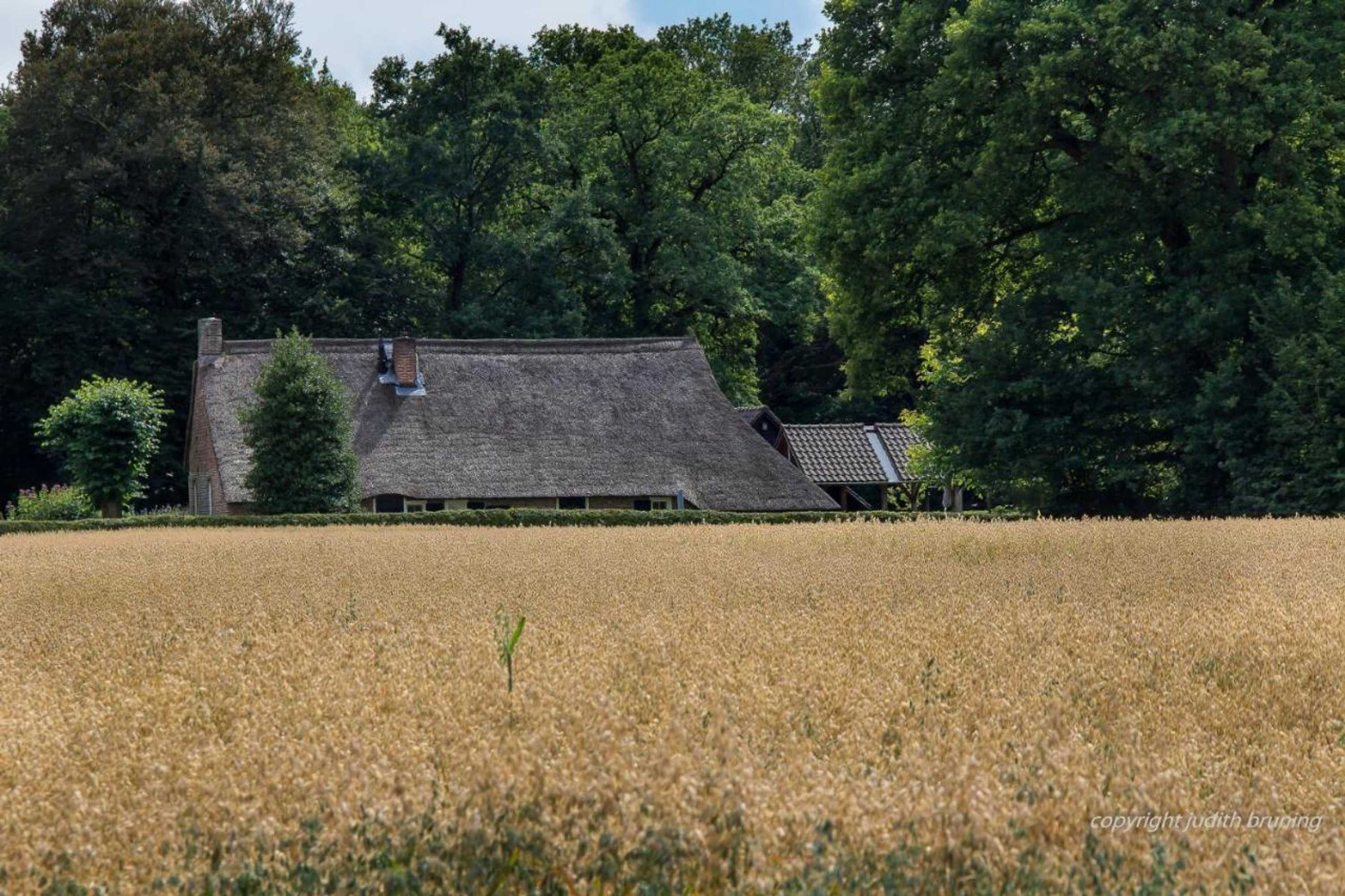 Gift card for Jelly's Hoeve (adults Only)