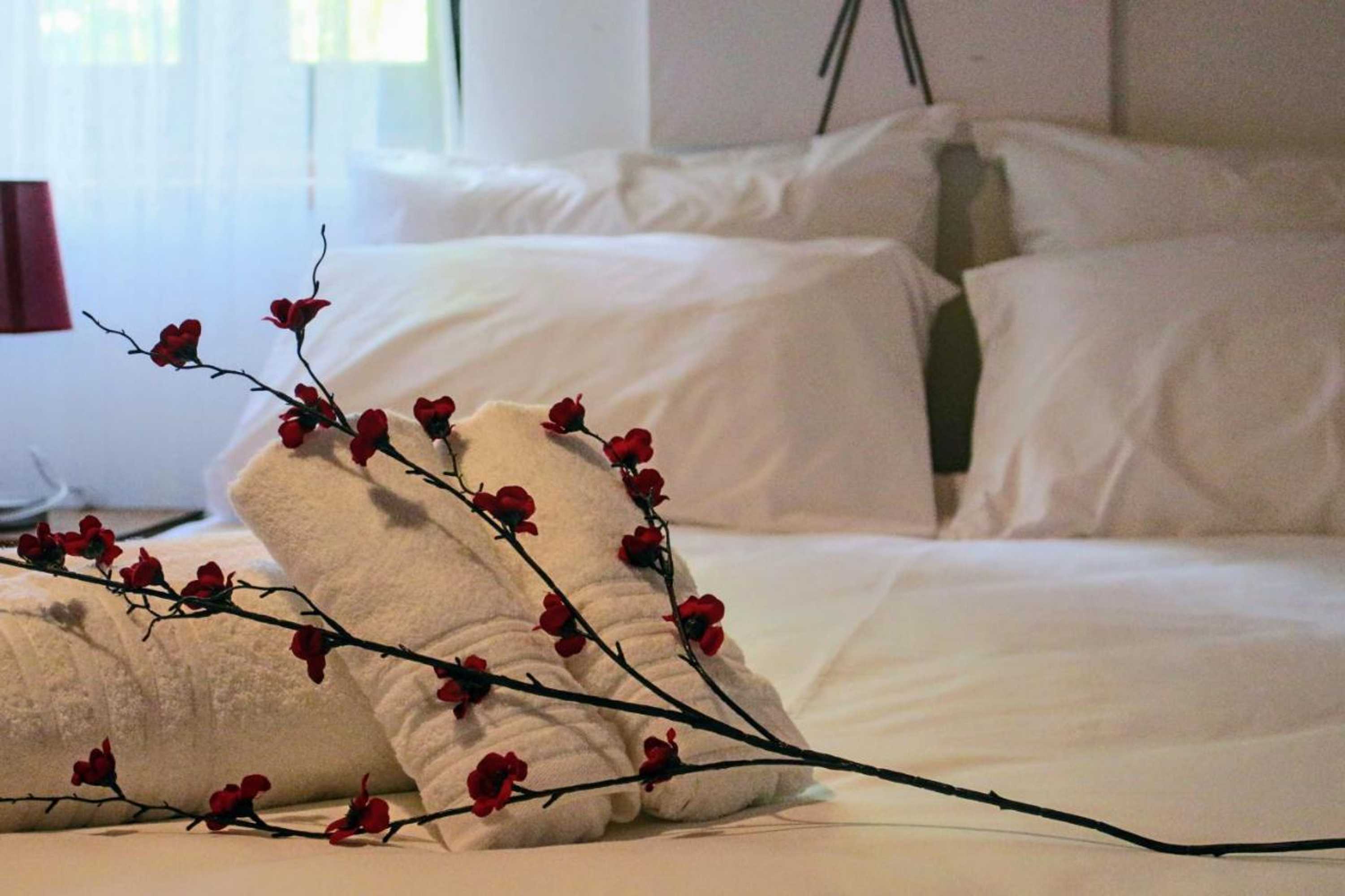 Gift card for Quinta da Ti Júlia