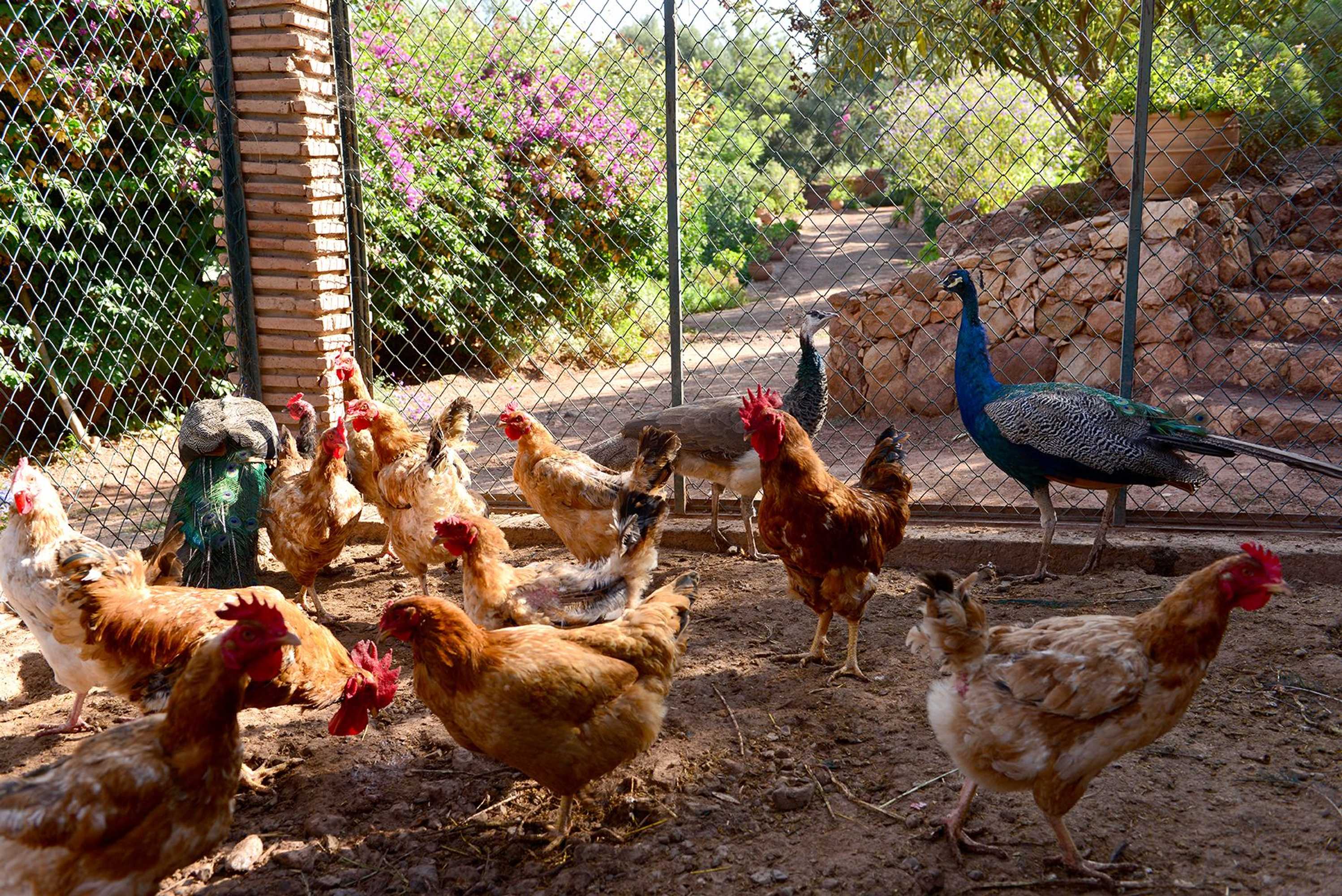 Gift card for Domaine La Source