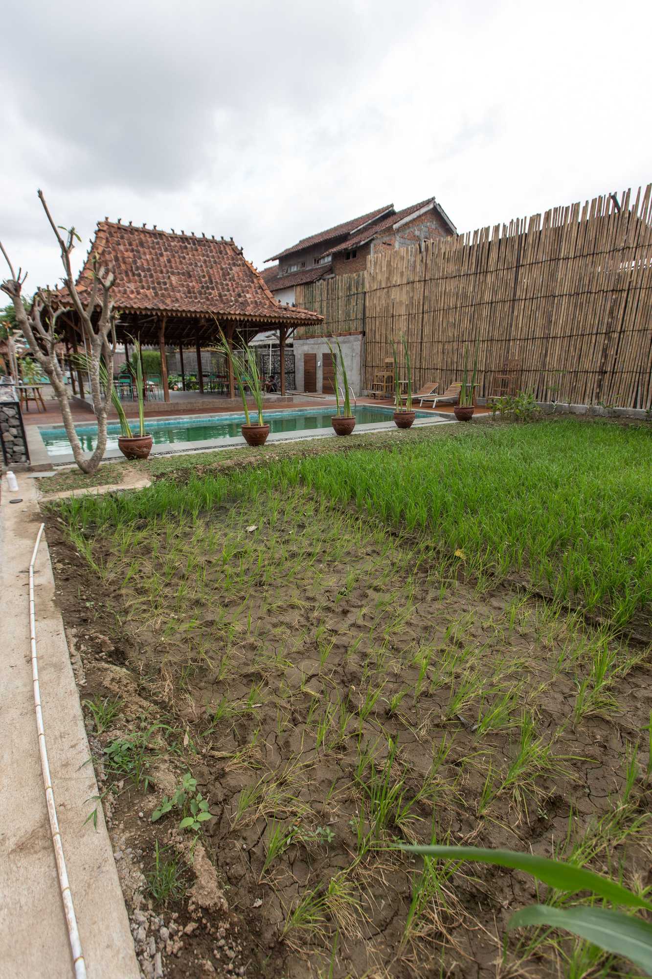 Gift card for Kampung Lawasan Heritage Cottage Gift card for Kampung Lawasan Heritage Cottage