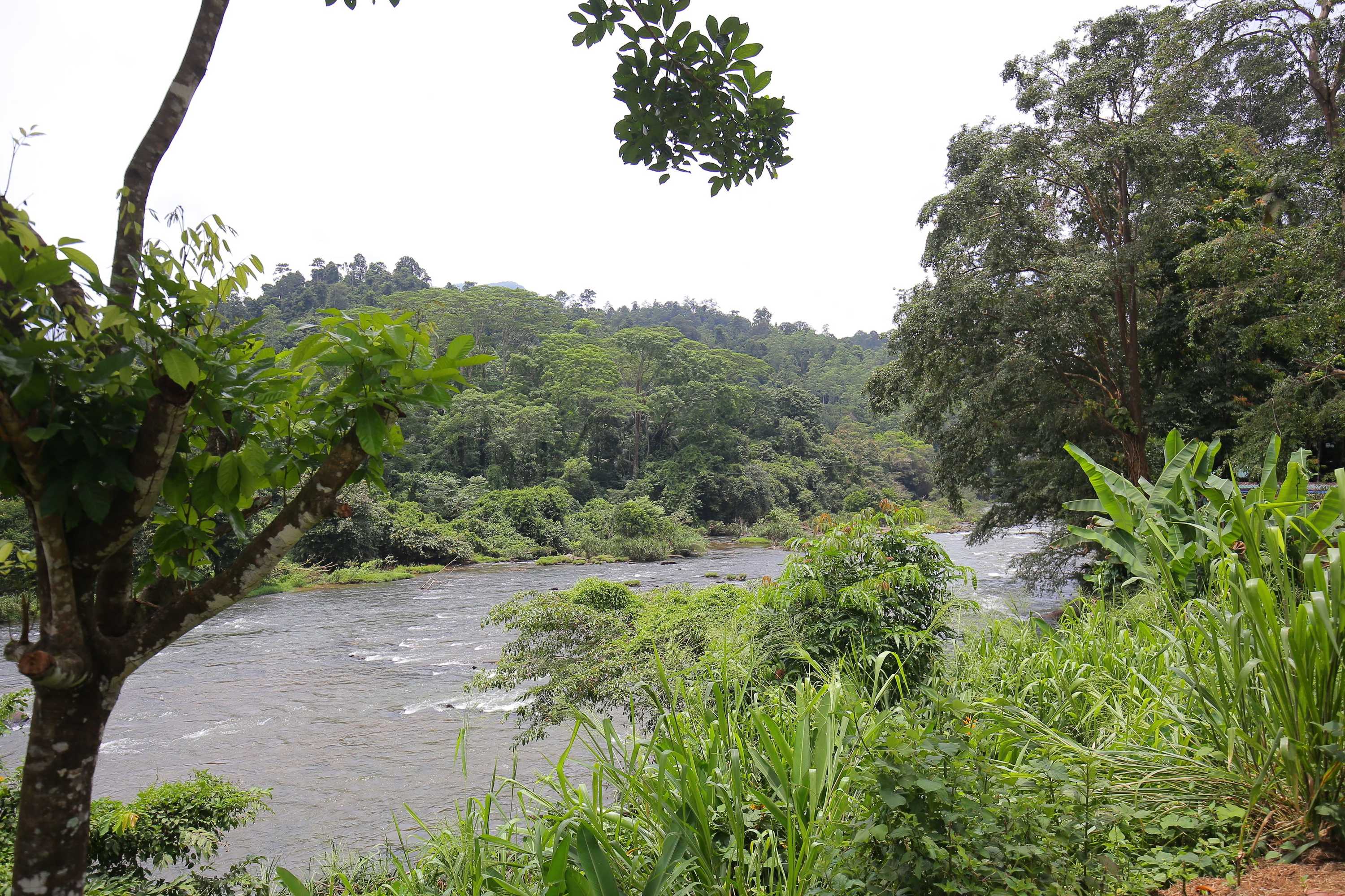 Gift card for Kitulgala Heritage Rest House Gift card for Kitulgala Heritage Rest House