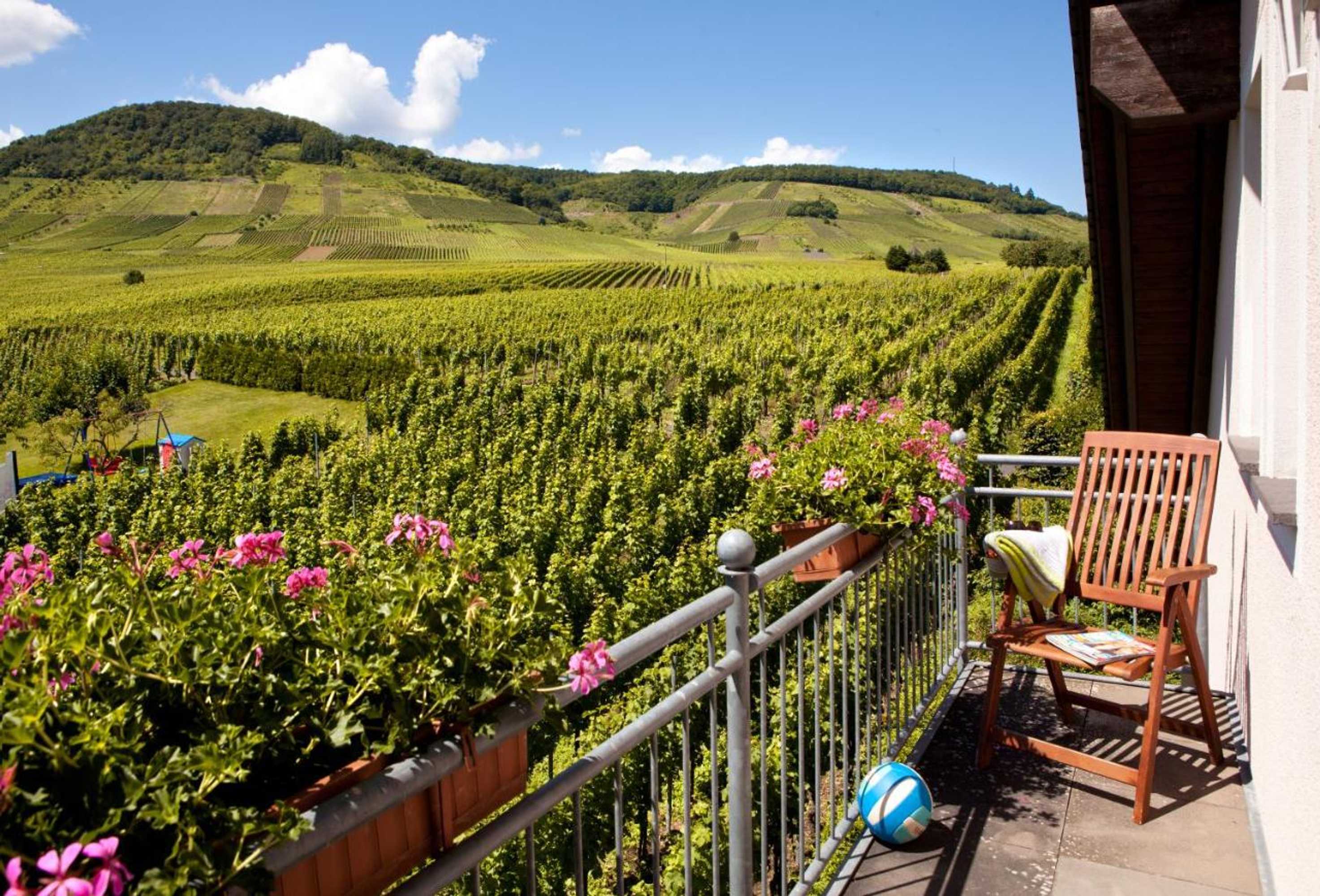 Gift card for Weingut Pies