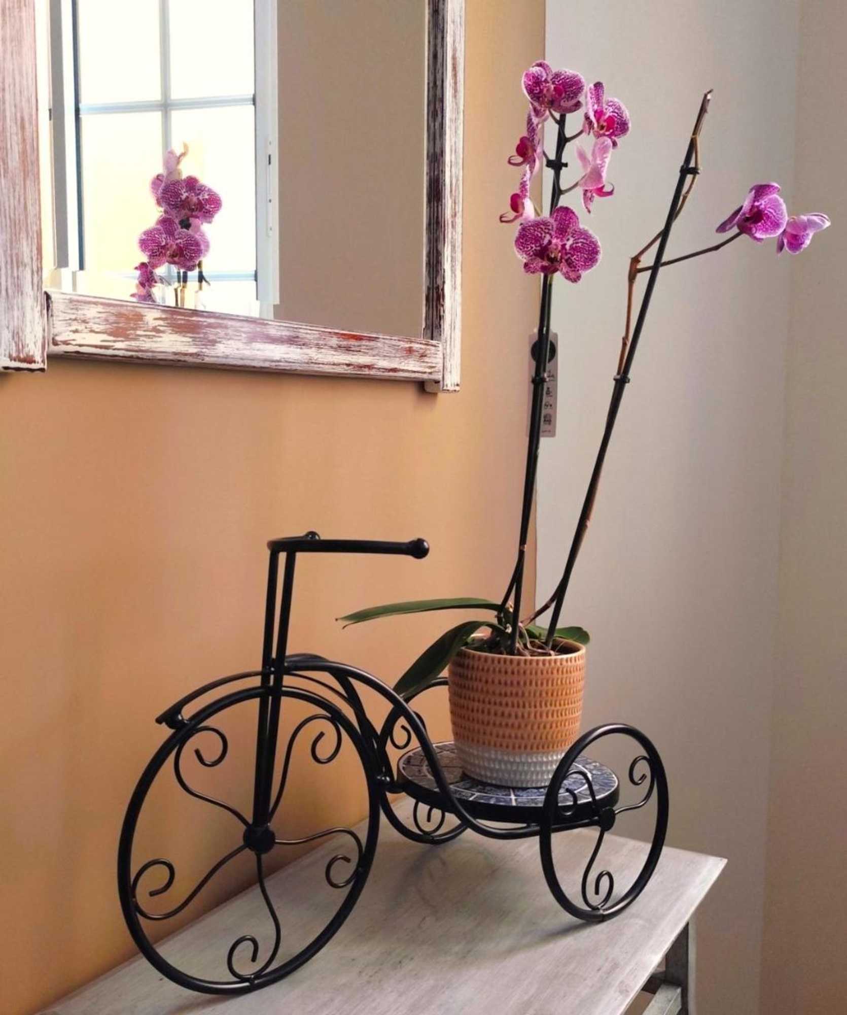 Gift card for Luso Village Boutique Hotel