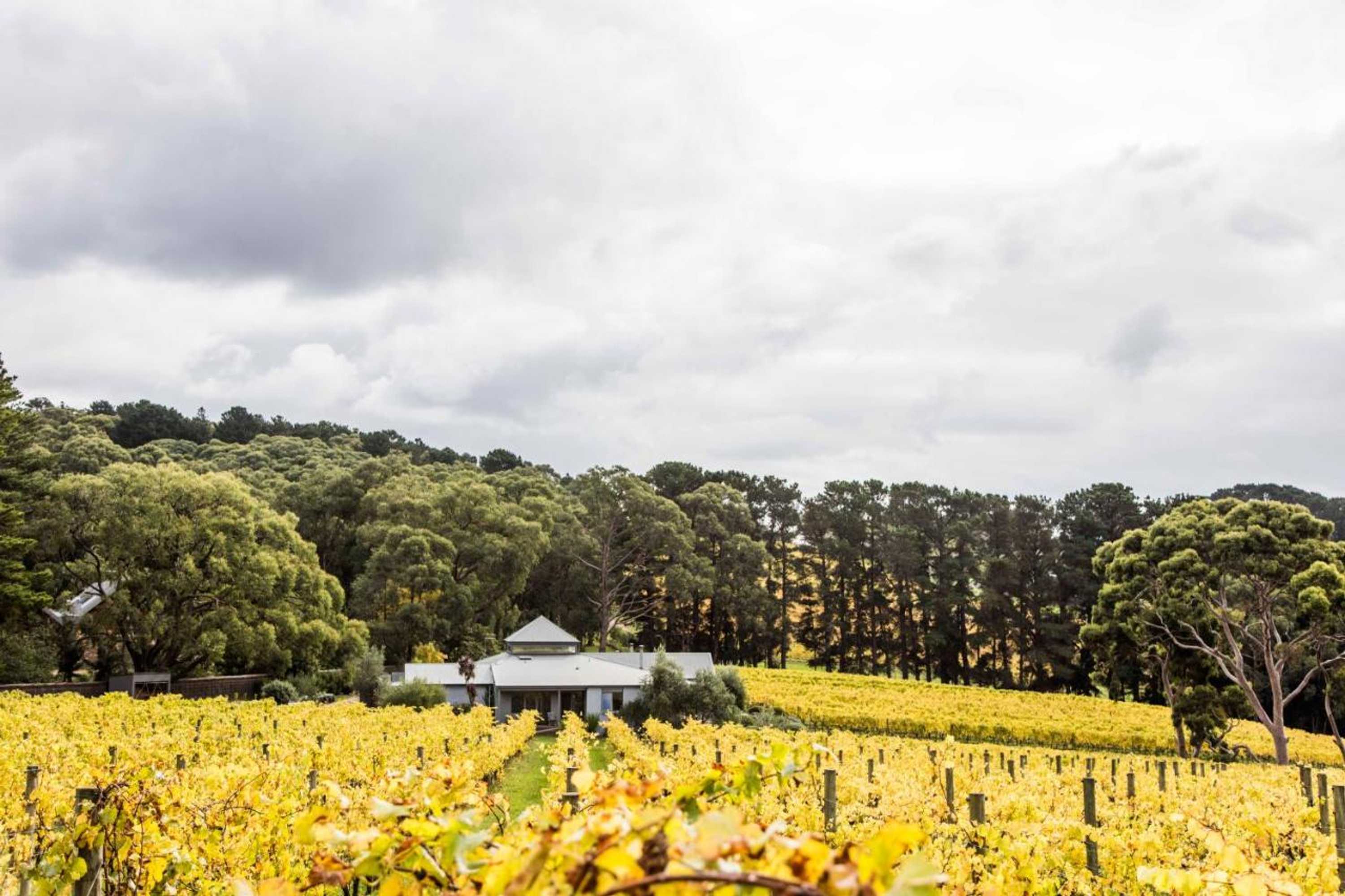 Gift card for Polperro Villas