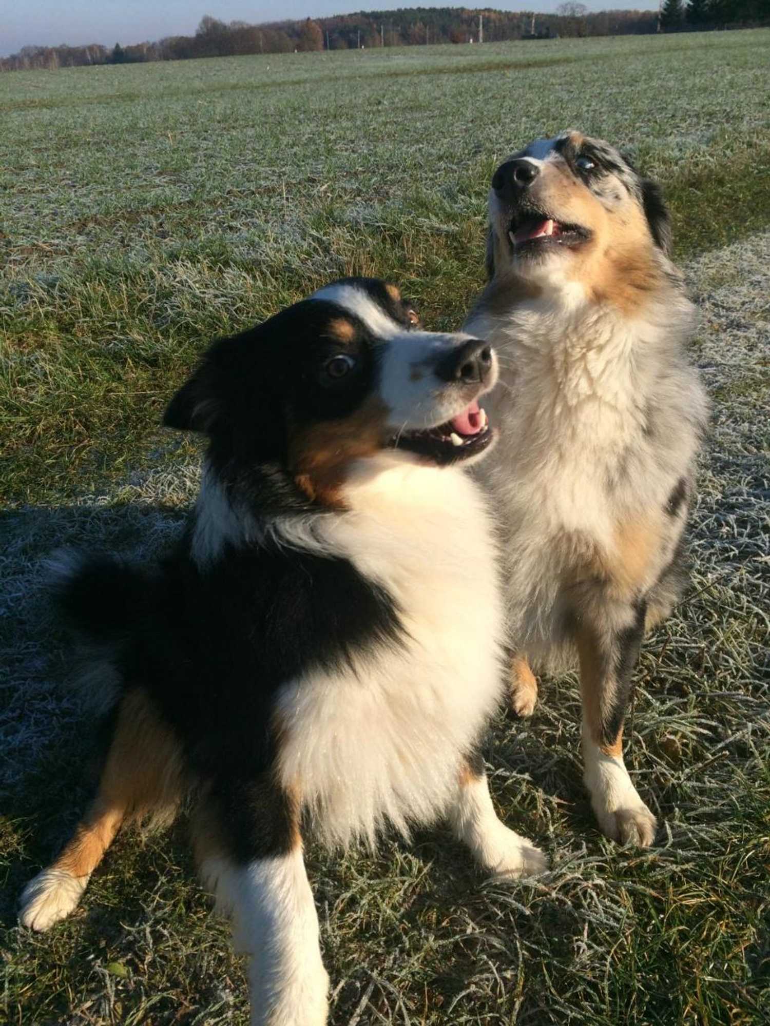 Gift card for Gästehaus Schirner