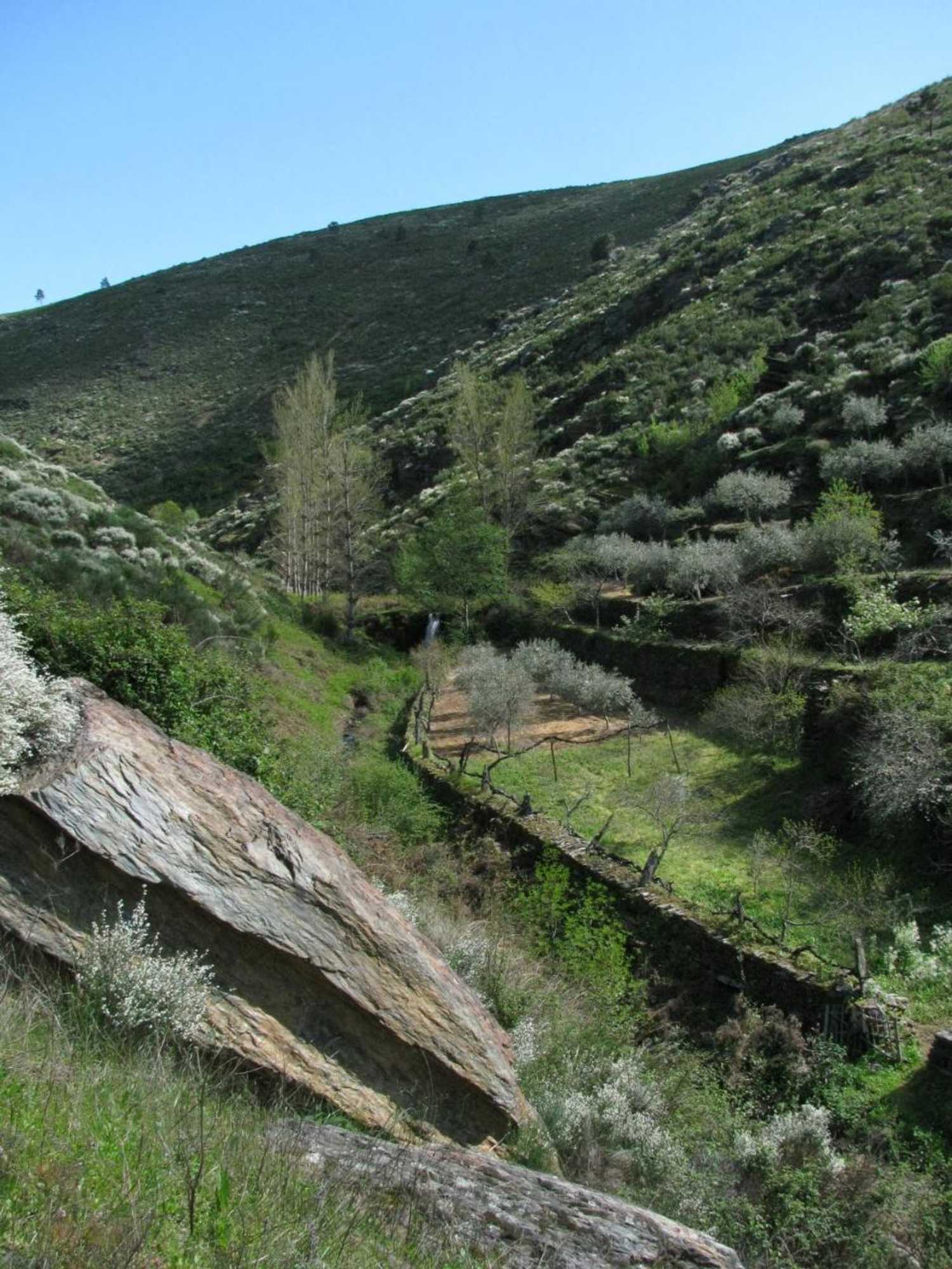 Gift card for Quinta Dos Baldo