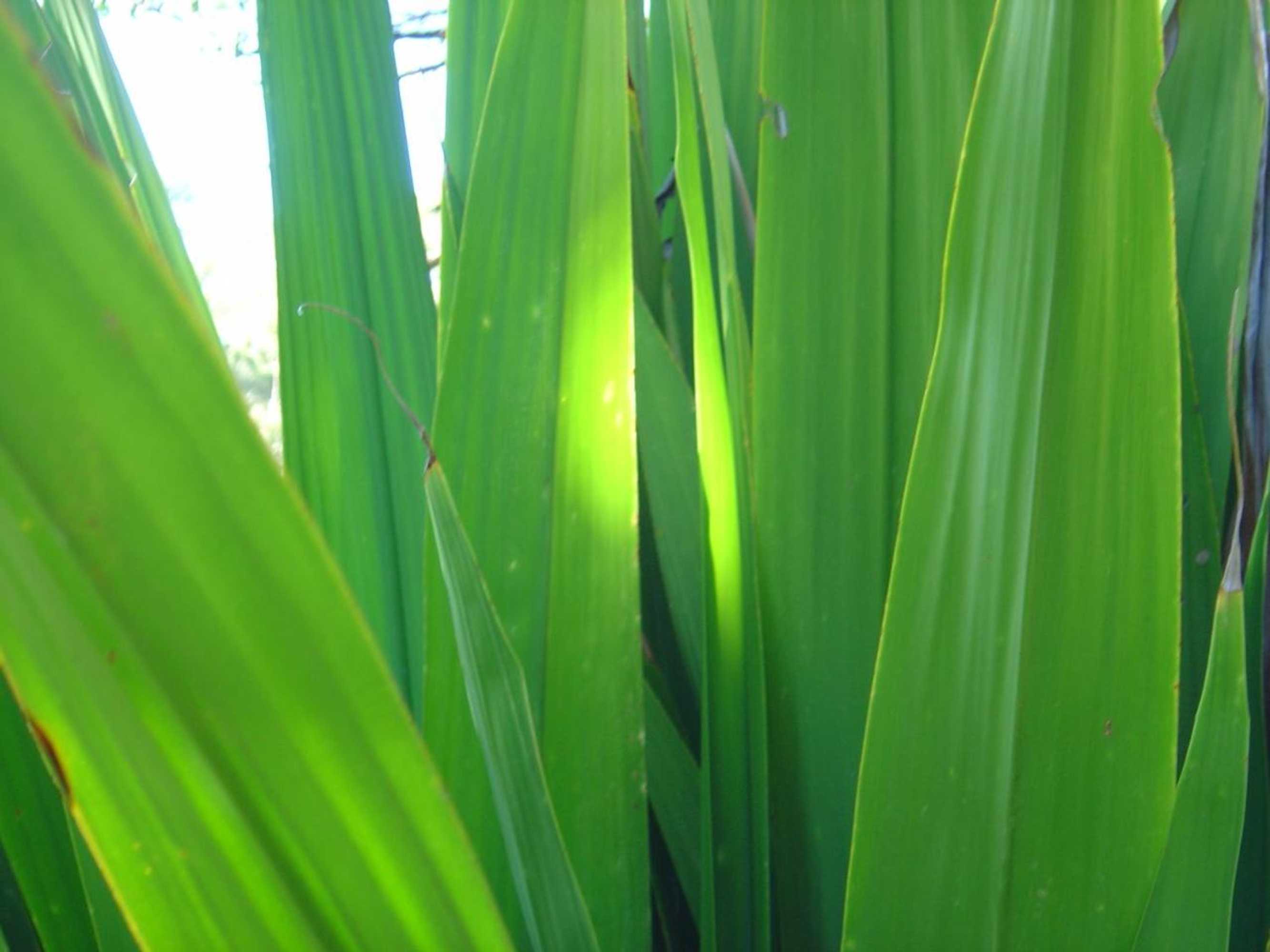 Gift card for Sensom Luxury Boutique Bed And Breakfast