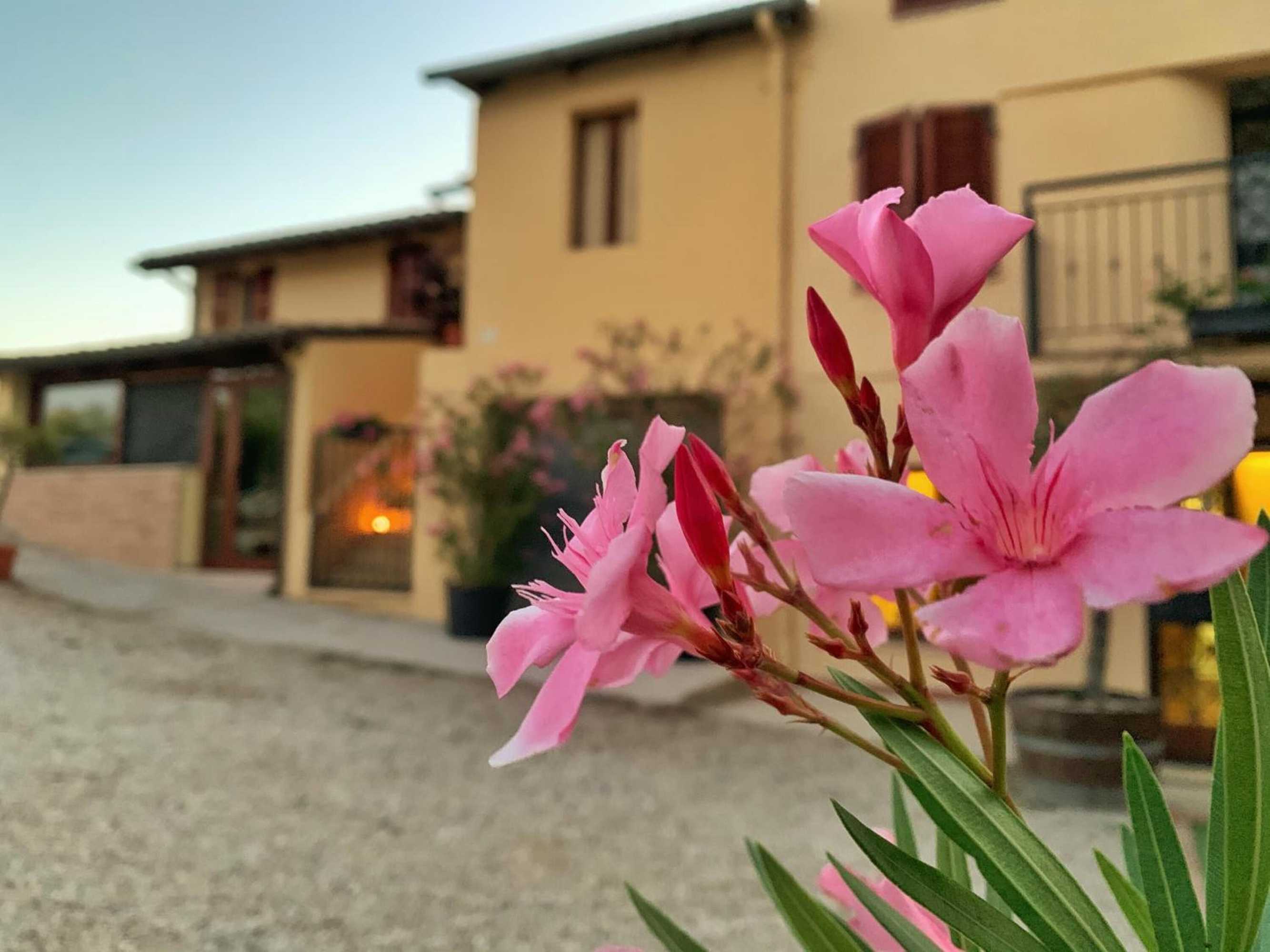 Gift card for Chiaraluce Country House Gift card for Chiaraluce Country House
