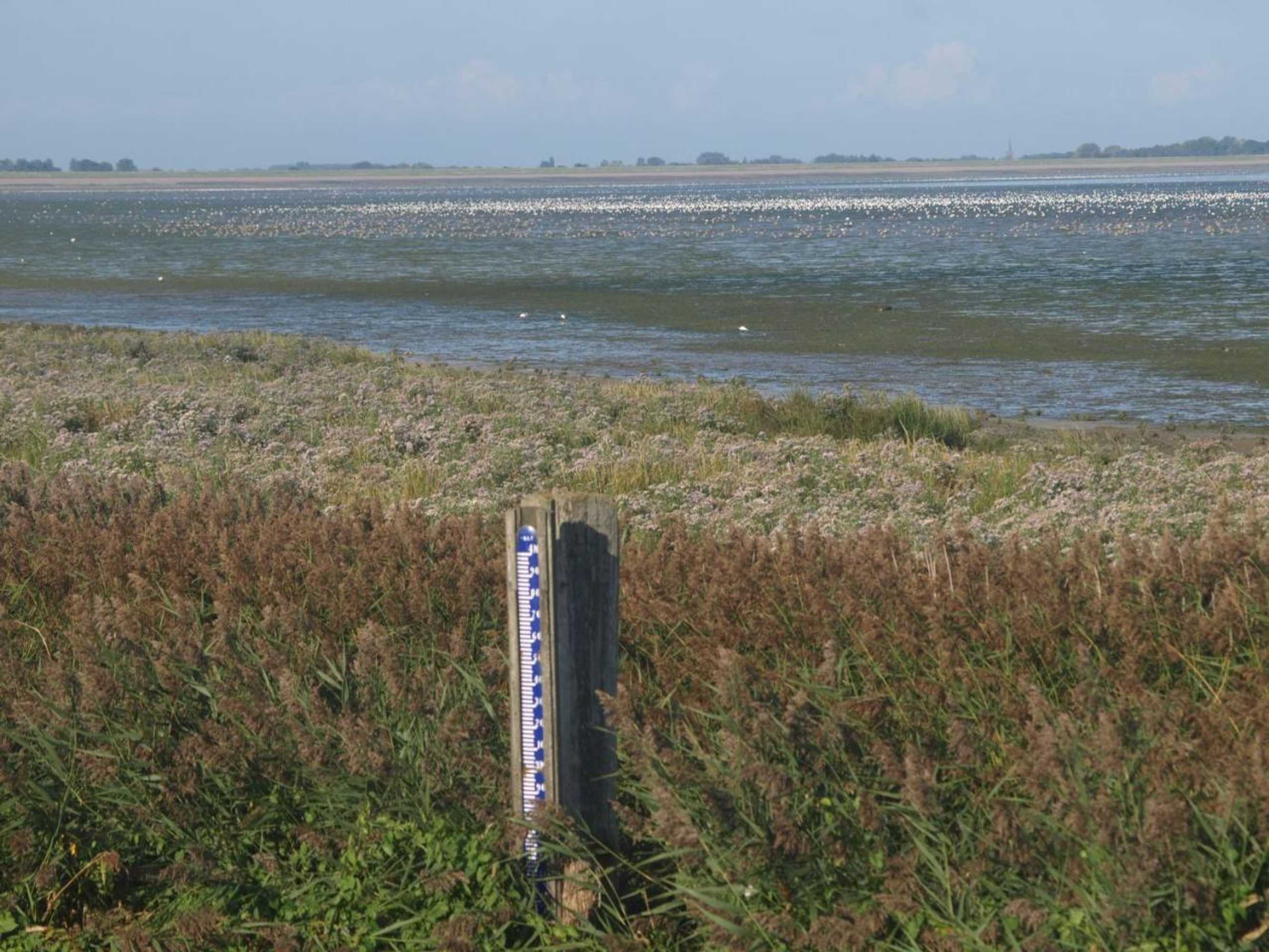 Gift card for Charme Logies Wad Zout 't