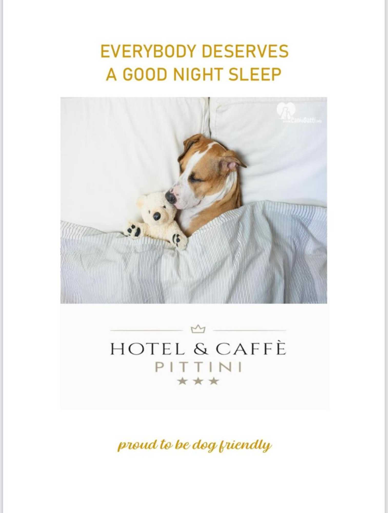 Gift card for Hotel Pittini Gift card for Hotel Pittini
