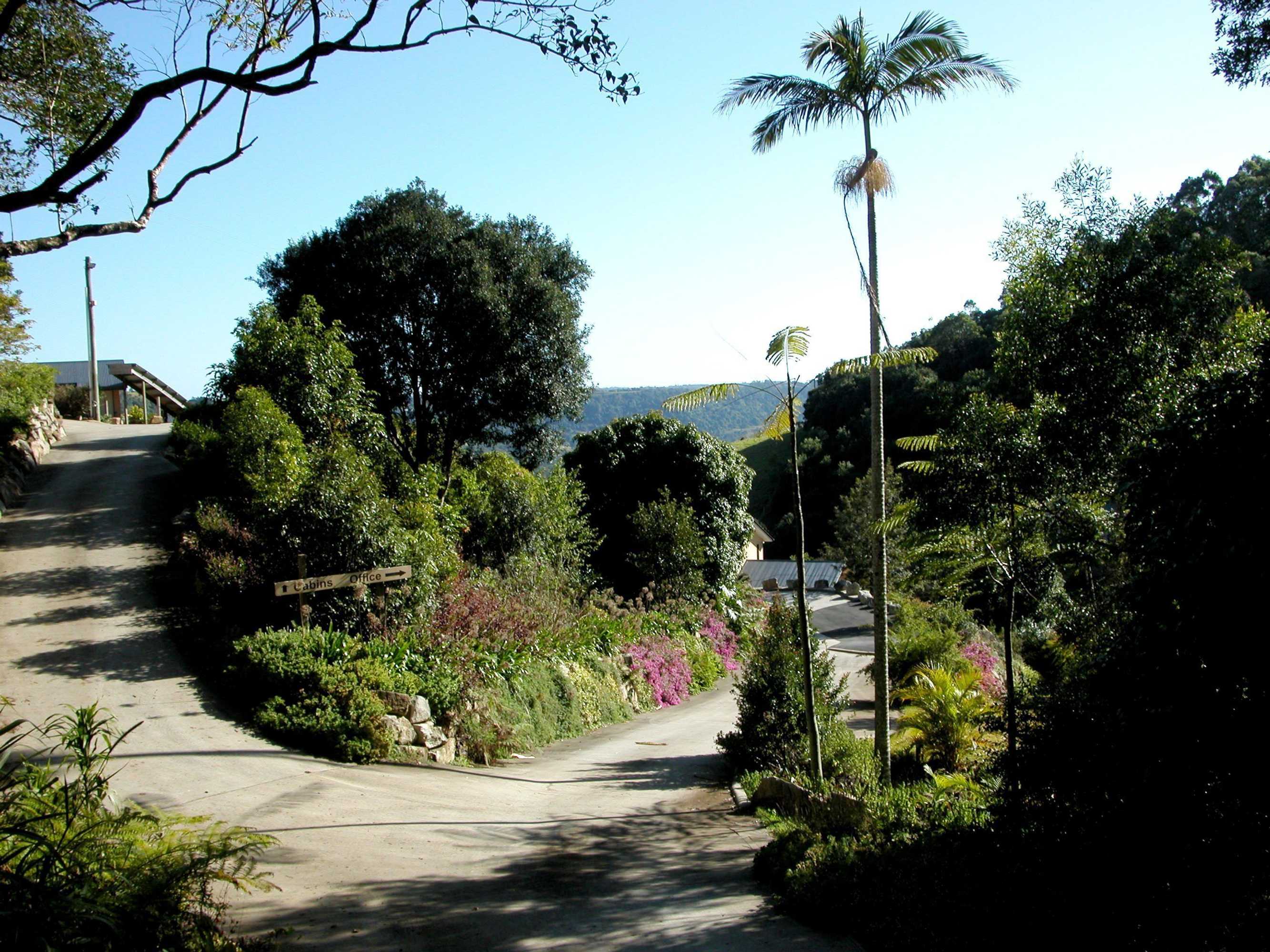 Gift card for Top of The Hill Gift card for Top of The Hill