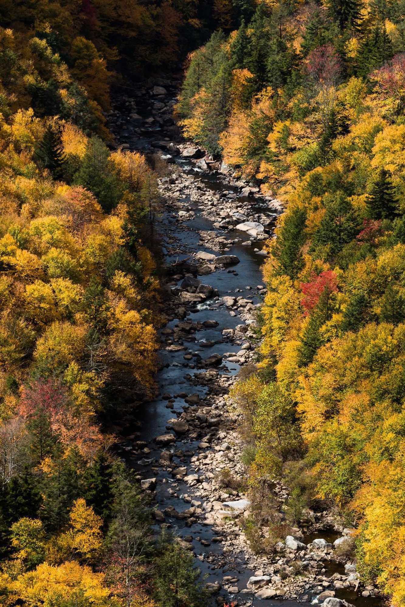 Gift card for River House Lodge