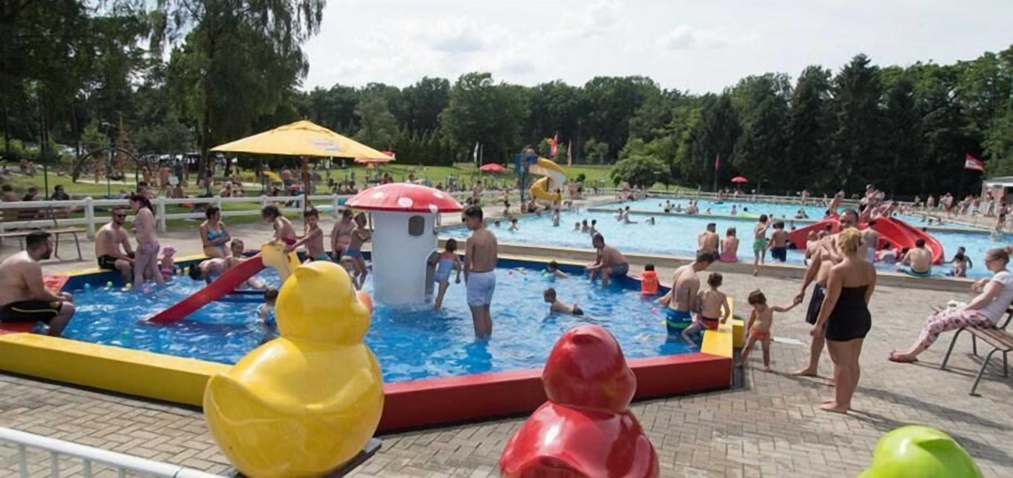 Gift card for Europarcs Hoge Kempen Gift card for Europarcs Hoge Kempen