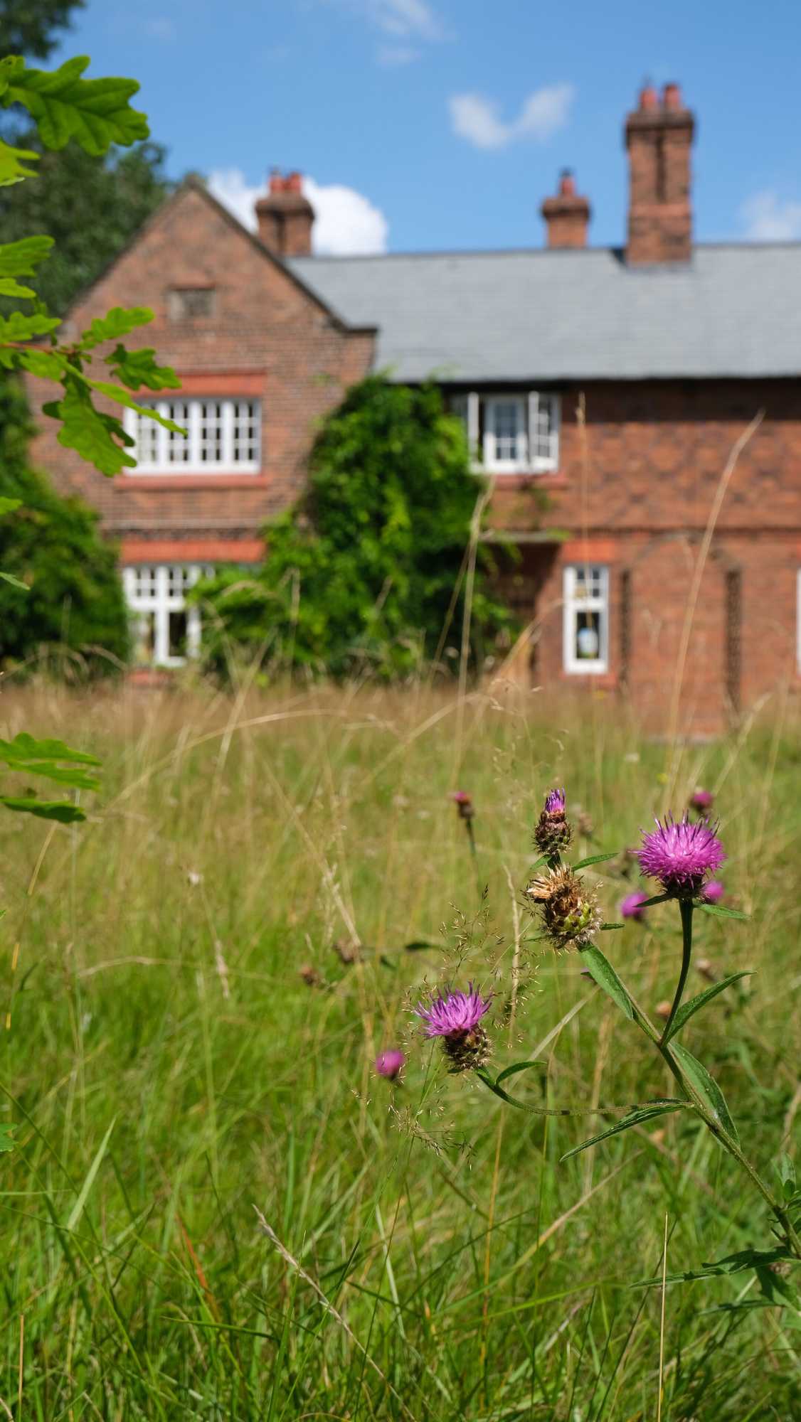 Gift card for Beech Hill B&b Gift card for Beech Hill B&b