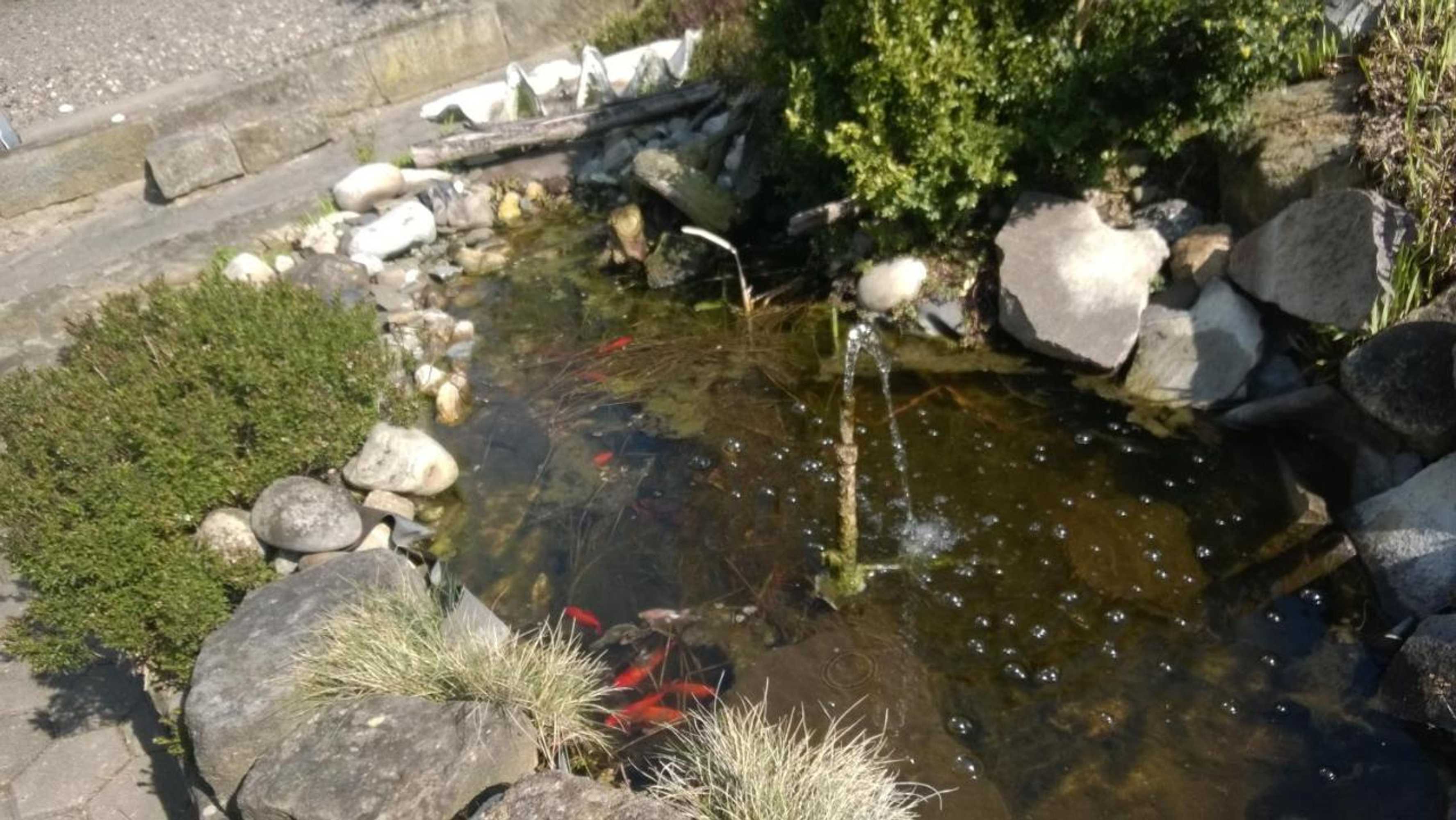 Gift card for Adolphs Frühstückspension