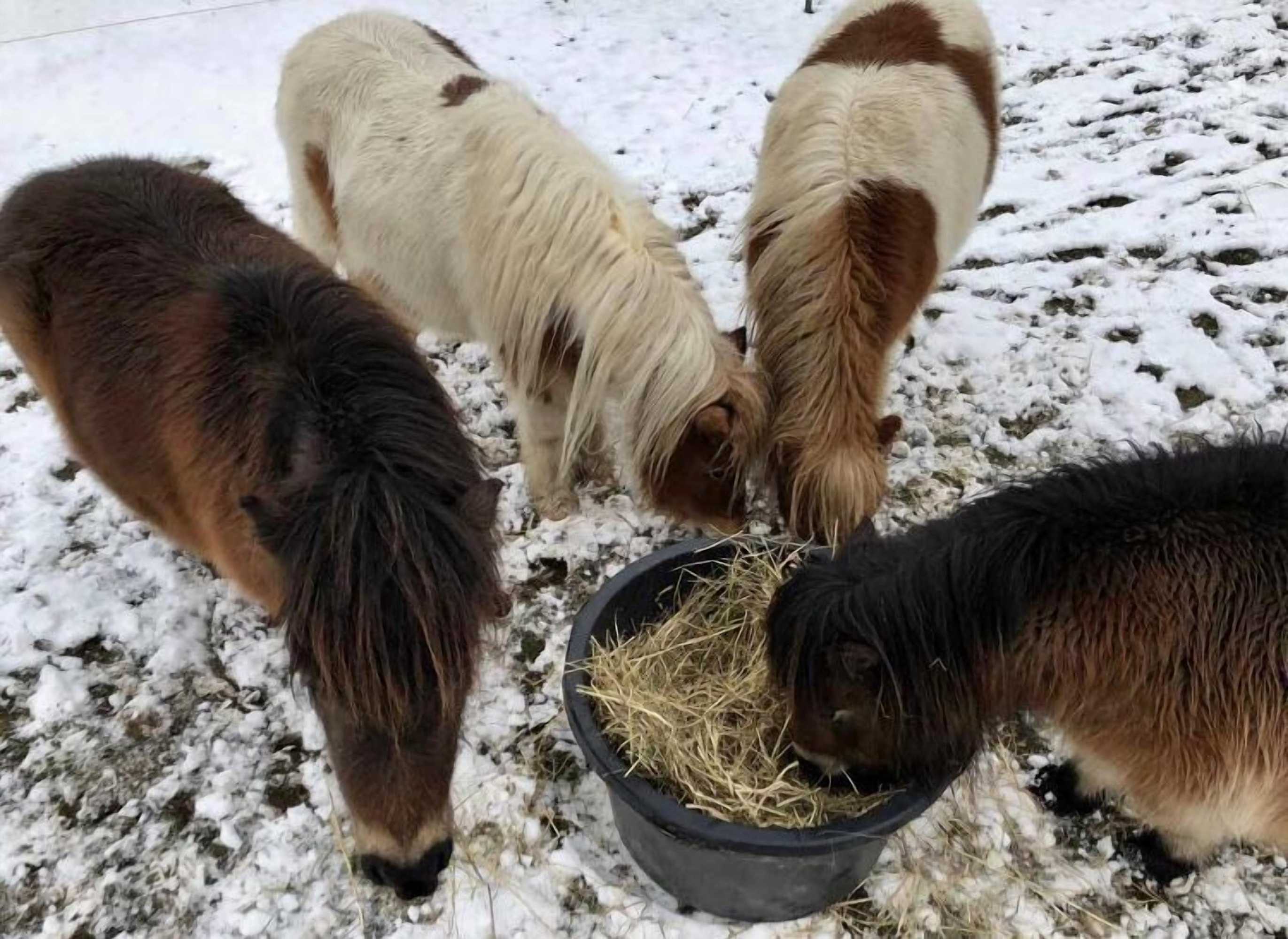 Gift card for Hotel Schöne Aussicht