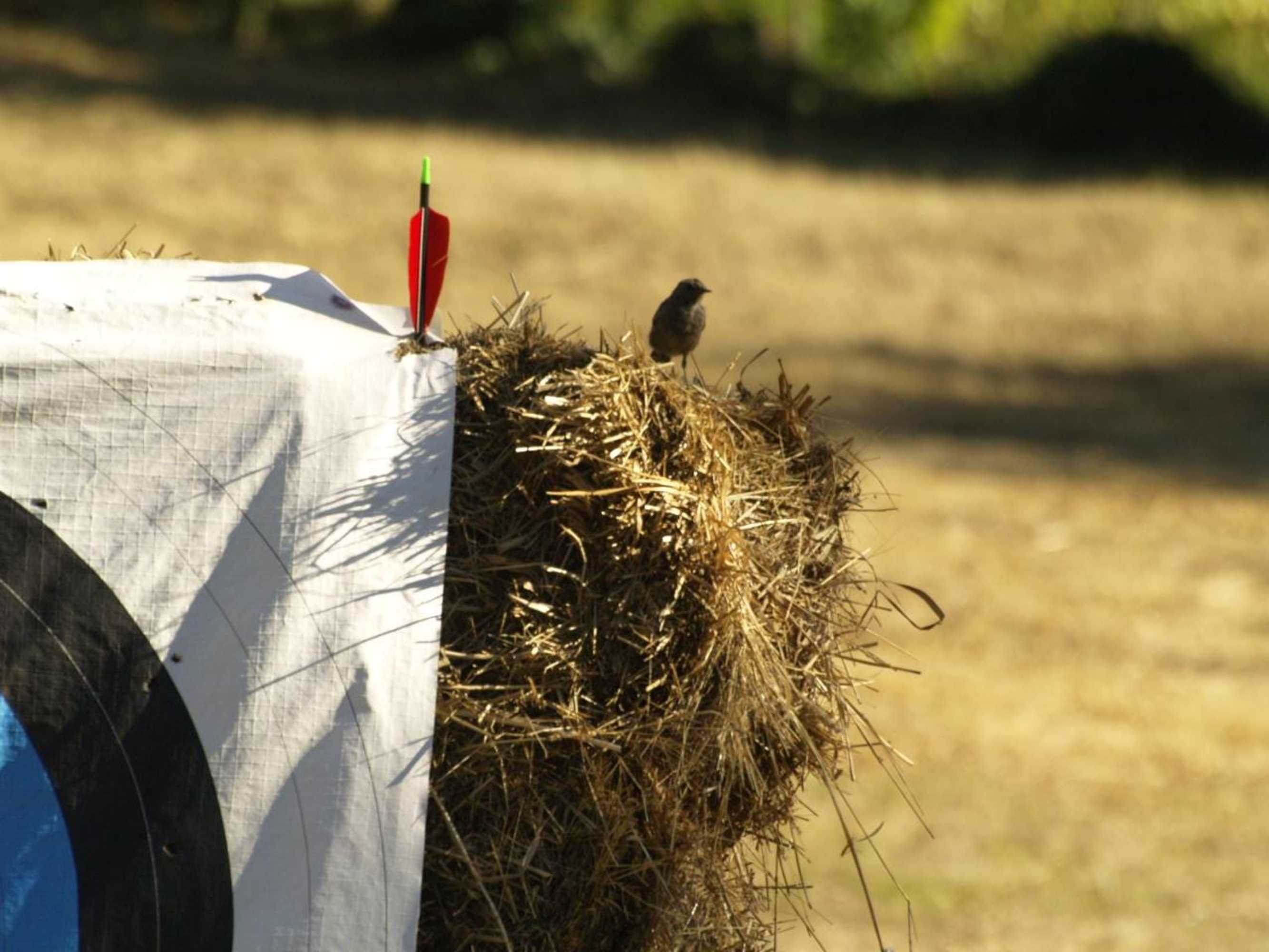 Gift card for Quinta Casa da Fonte