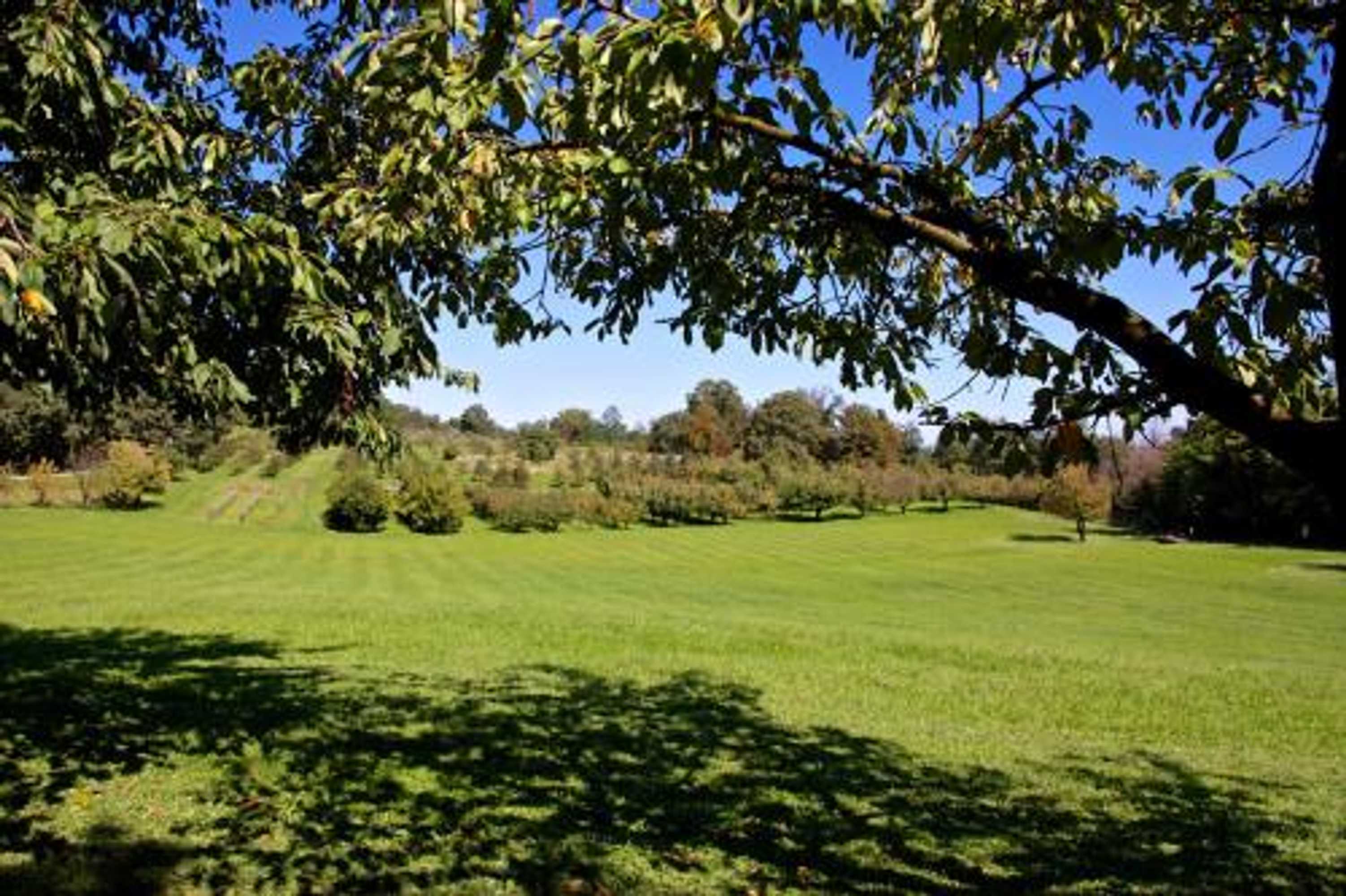 Gift card for Albergo Rurale Parco di San Floriano Gift card for Albergo Rurale Parco di San Floriano
