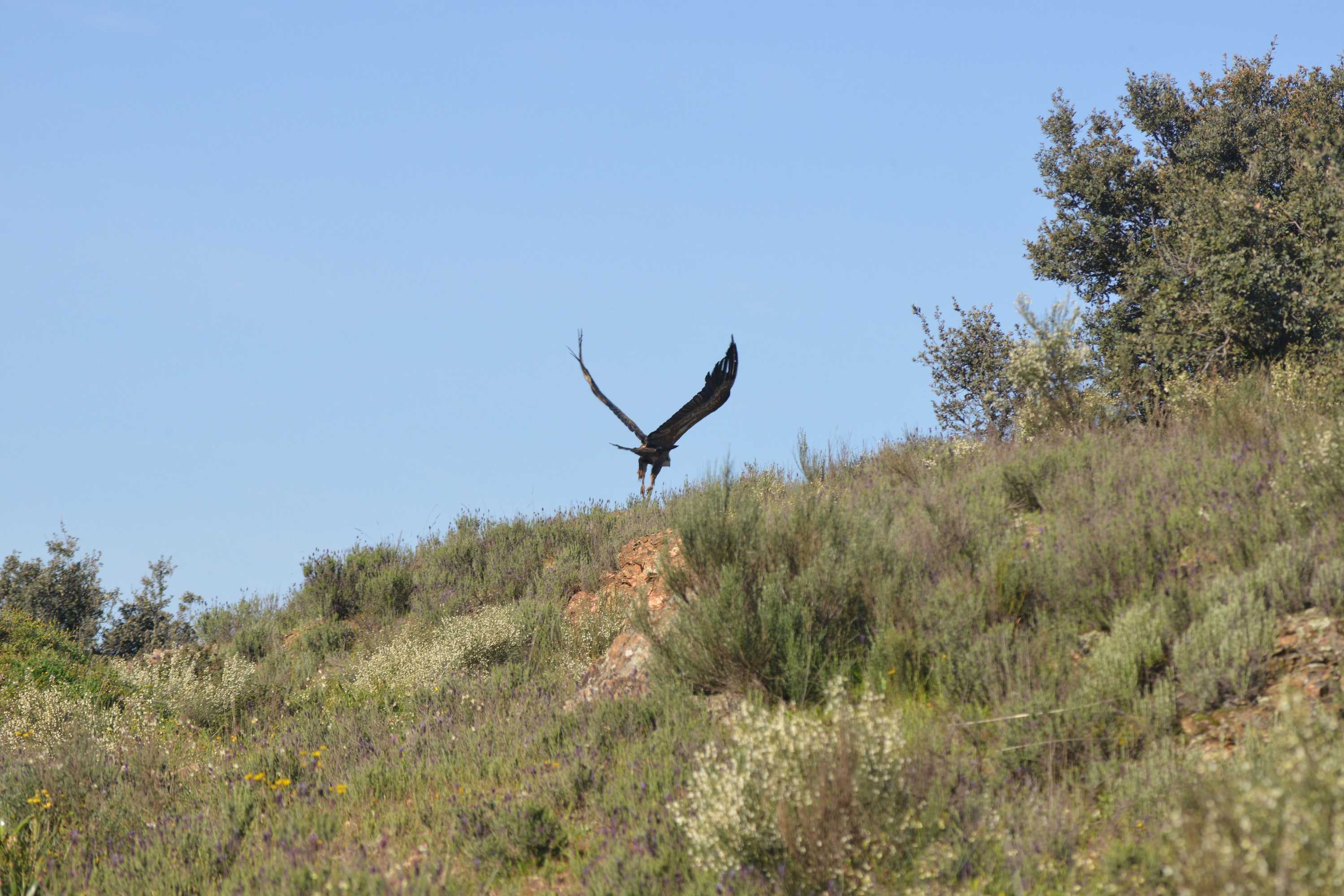 Gift card for Casas Rurales Aldeaduero