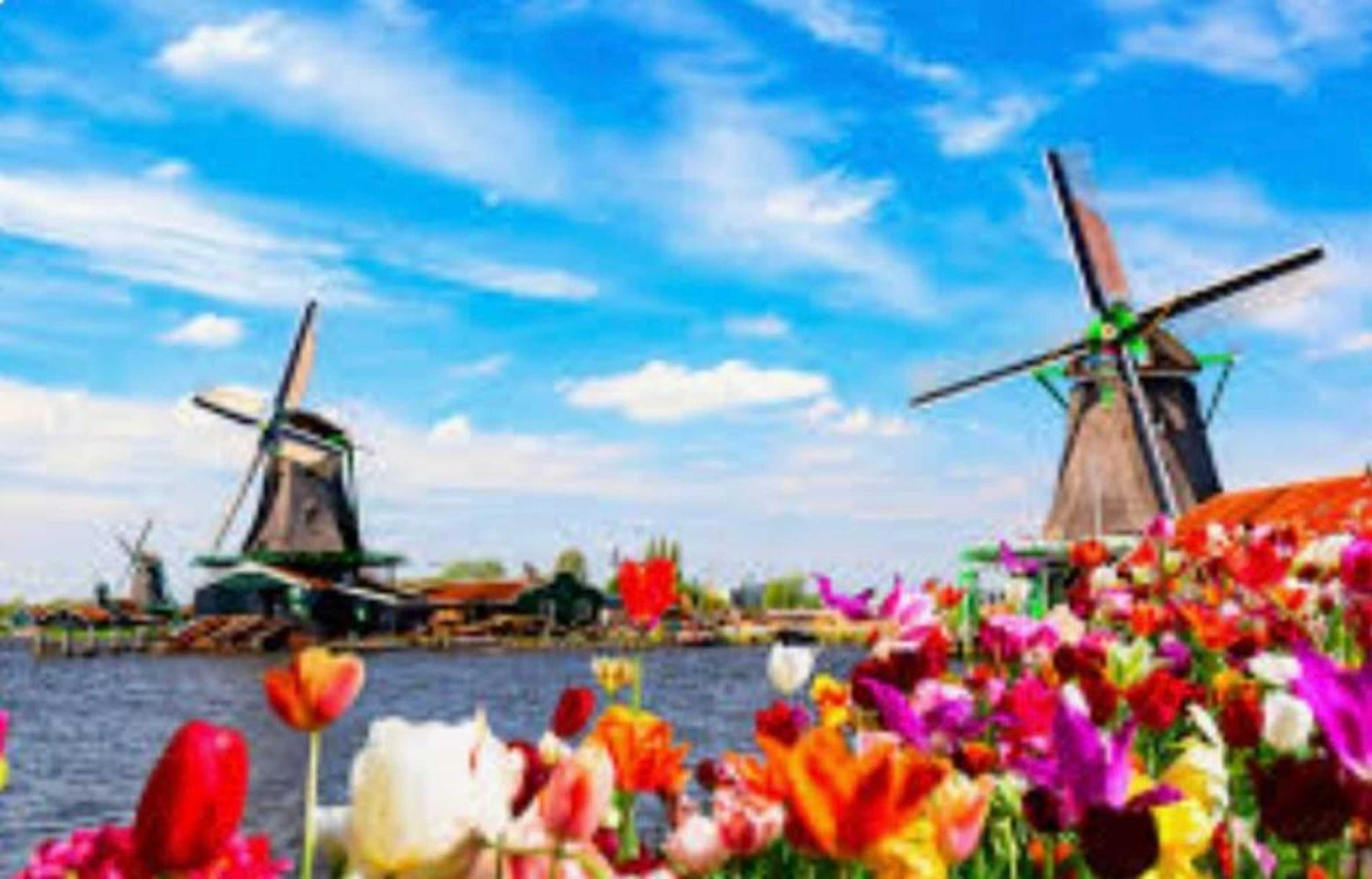 Gift card for Huisje Finn Park de Horn