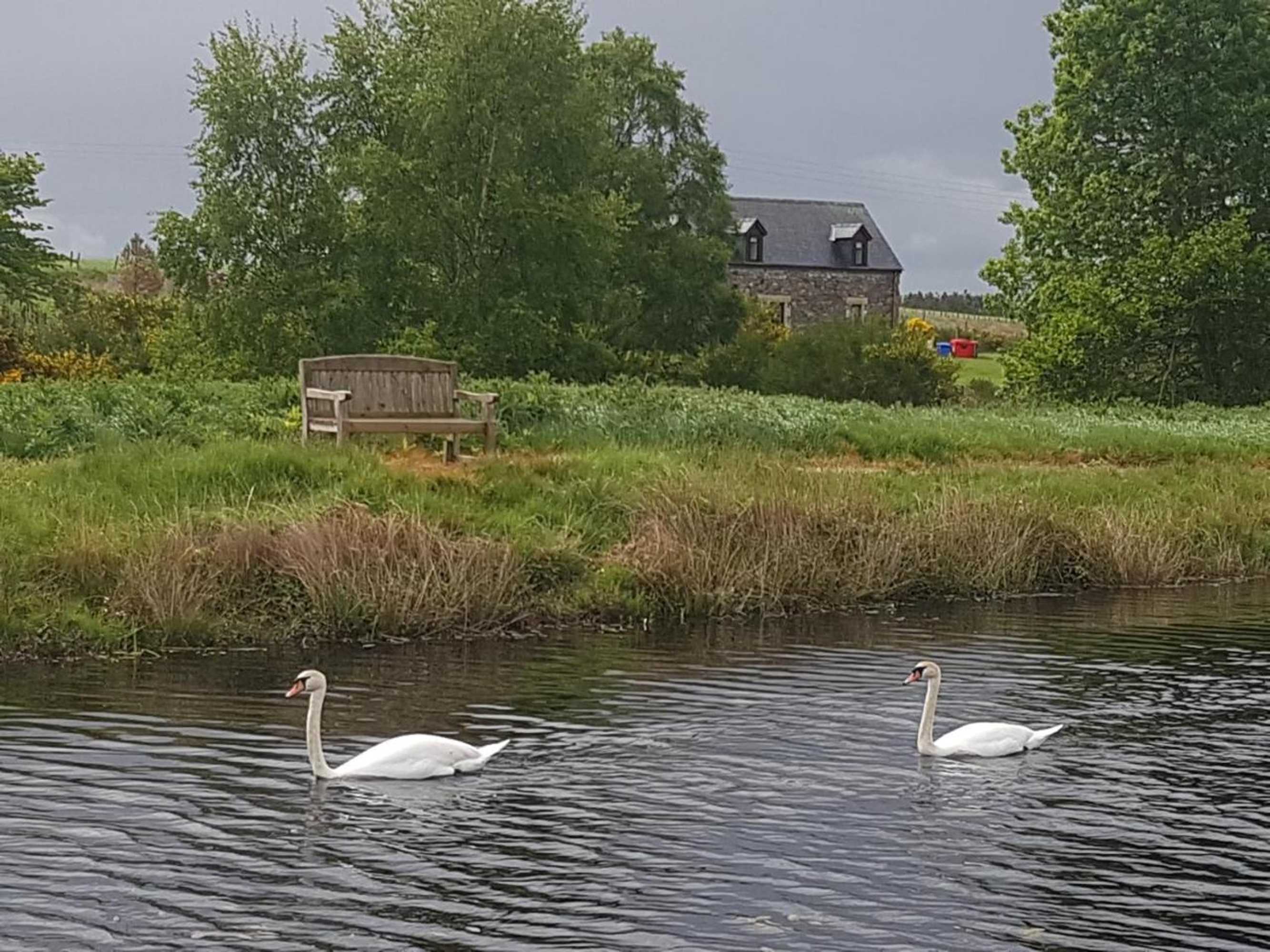 Gift card for Heathfield Highland Estate