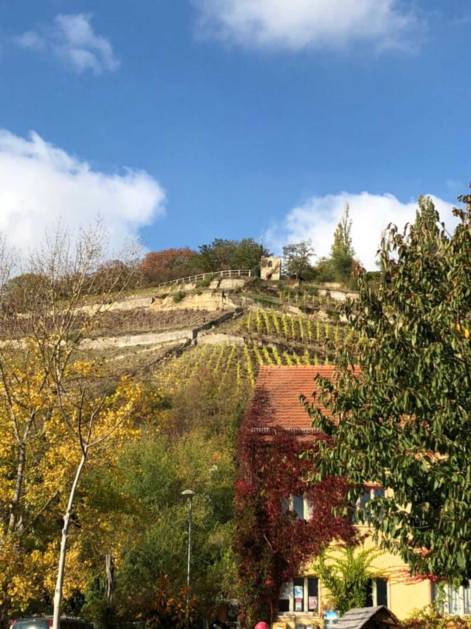 Gift card for Hotel Zum Rebstock