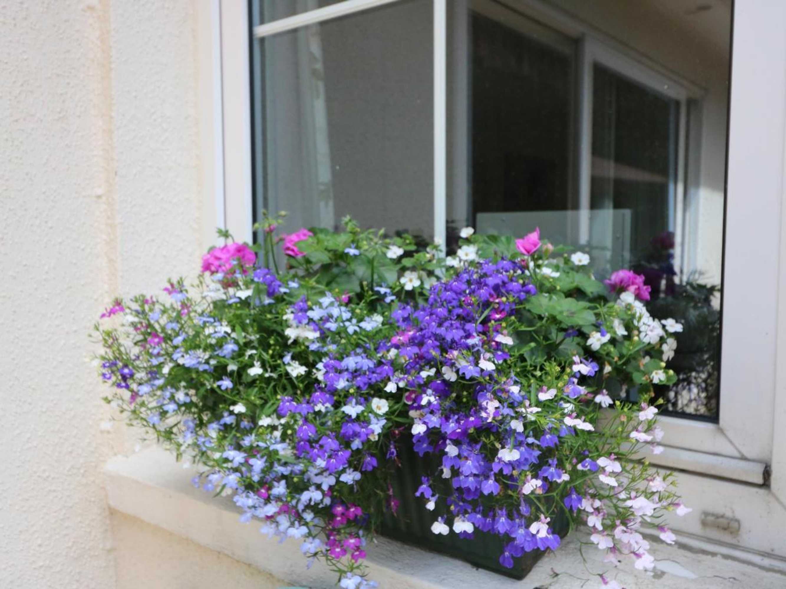 Gift card for Westgate Cottage