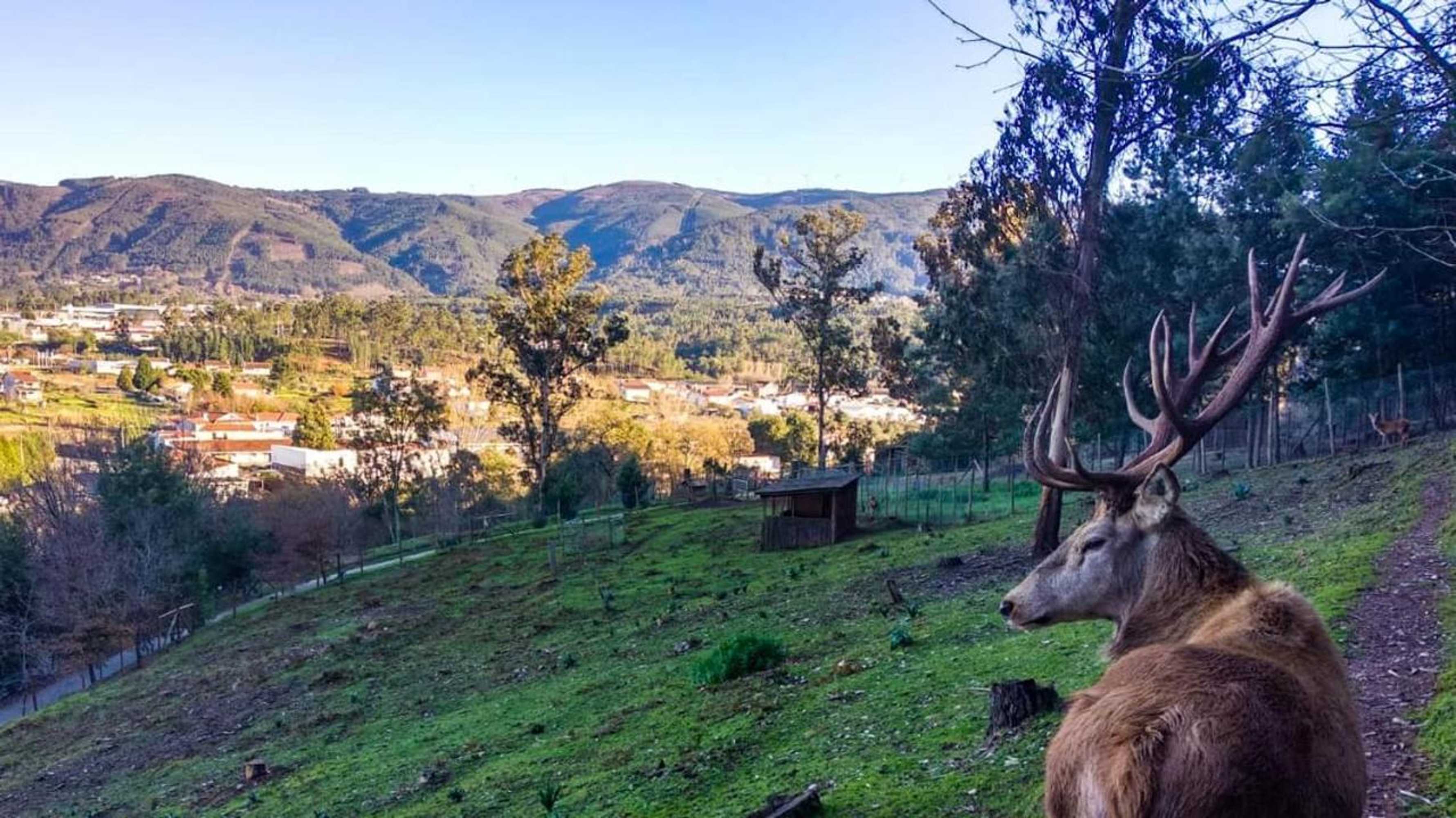 Gift card for Casa Dos Copos - Drinks House