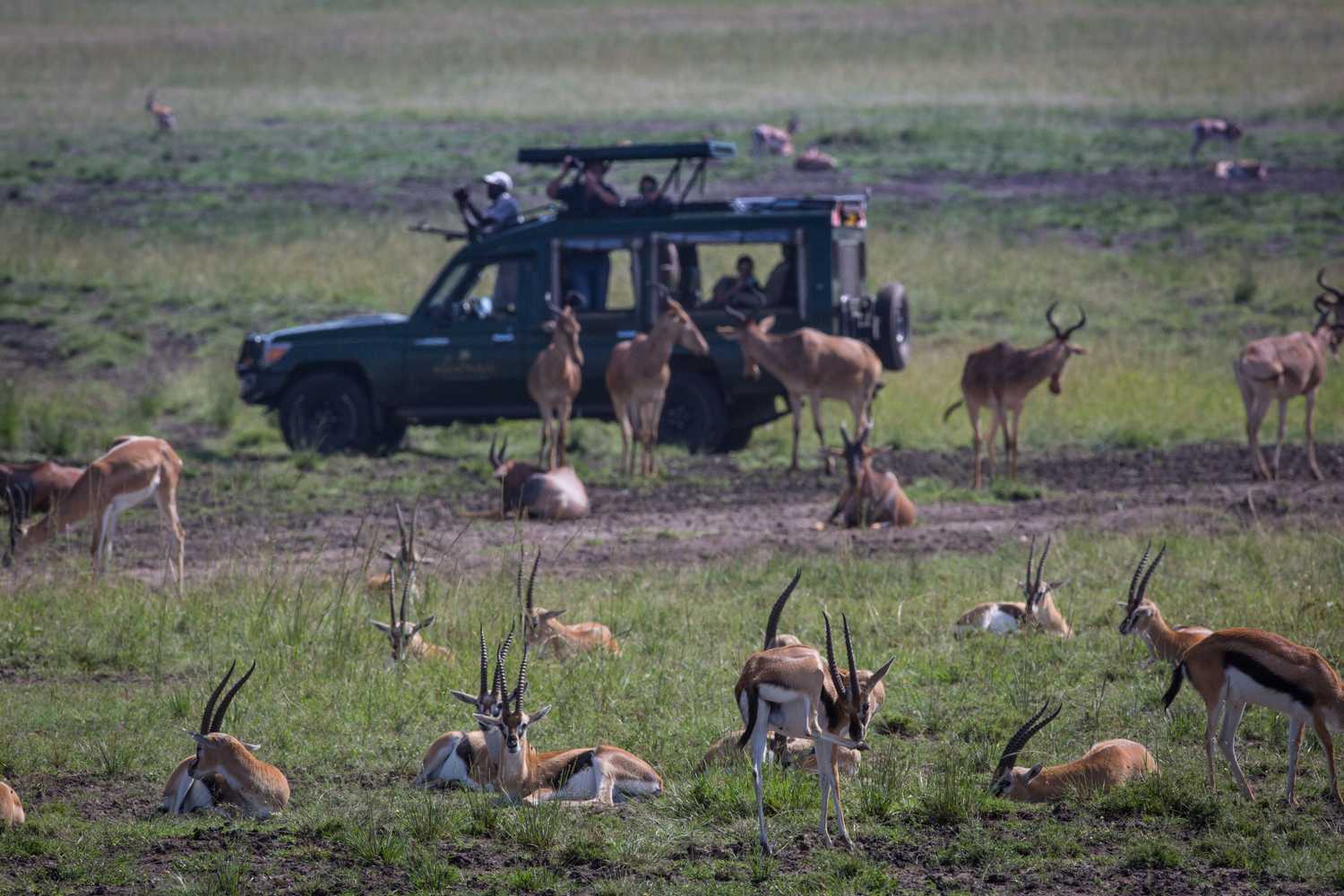 Gift card for Elewana Sand River Masai Mara