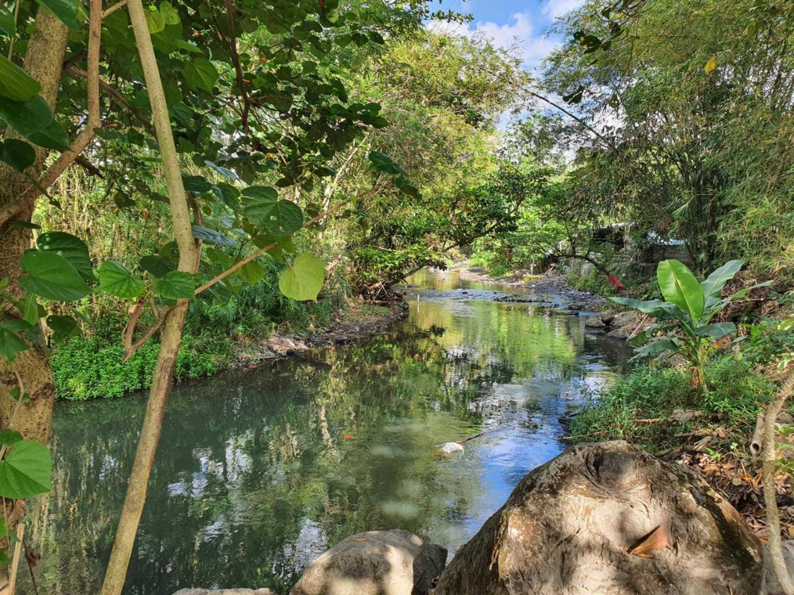 Gift card for Villa Alicia Gift card for Villa Alicia