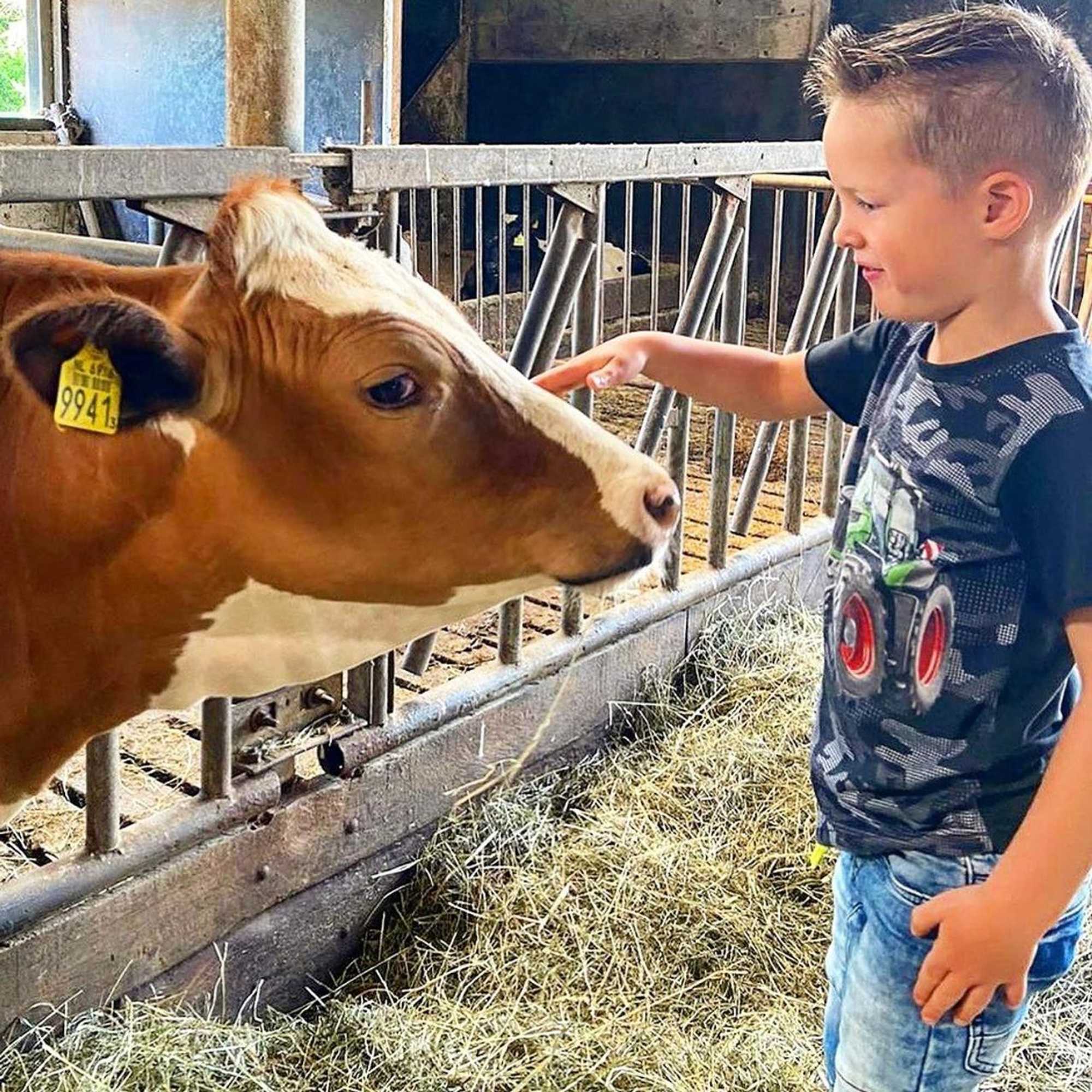 Gift card for Ruyge Weyde Logies, Eco Farm