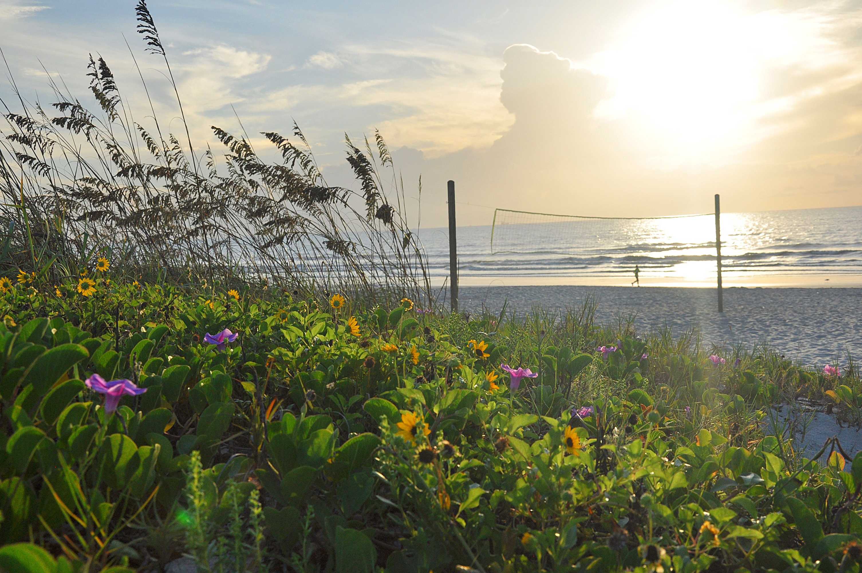 Gift card for Westgate Cocoa Beach Resort Gift card for Westgate Cocoa Beach Resort