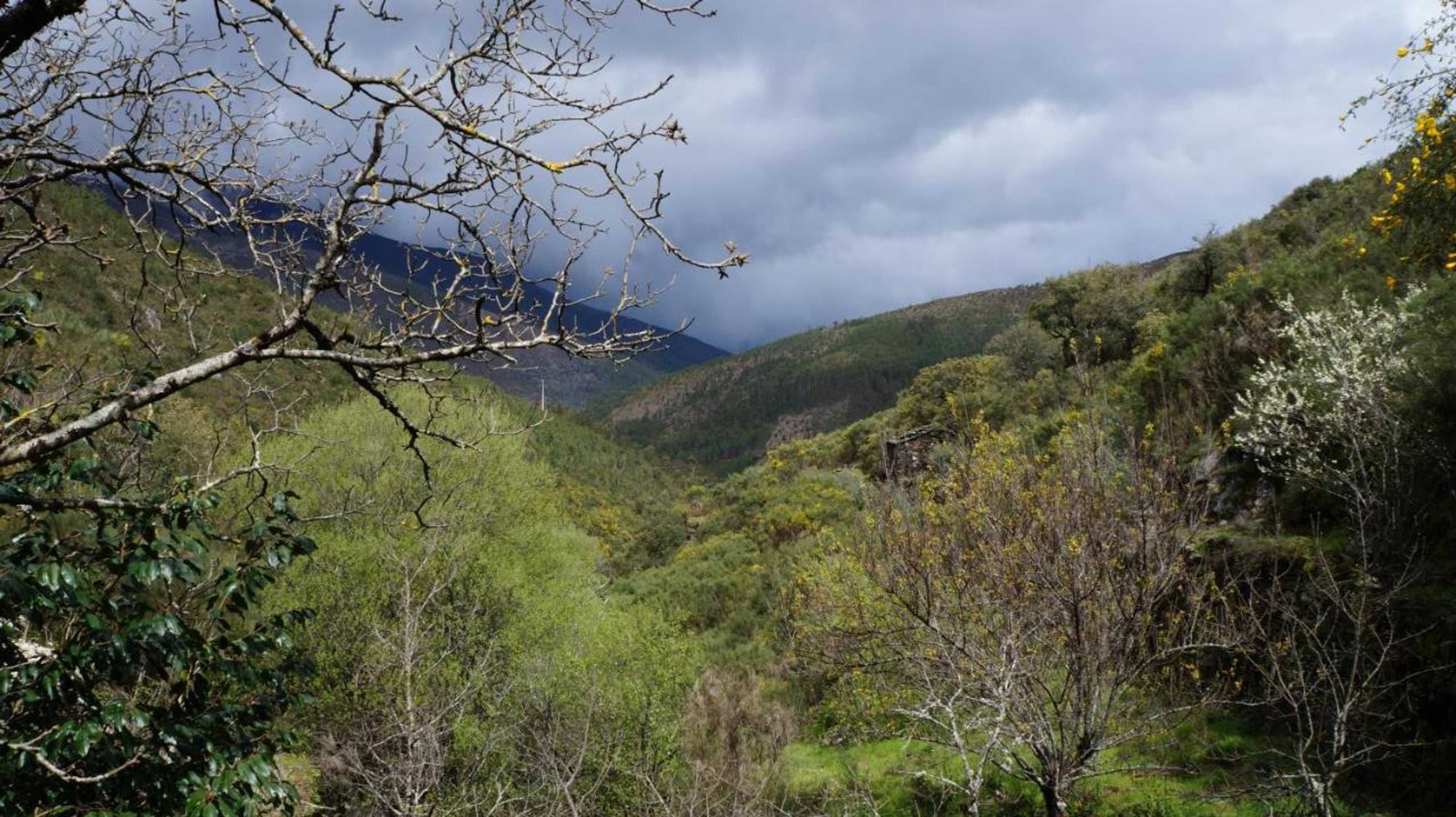 Gift card for Casa da Quelha