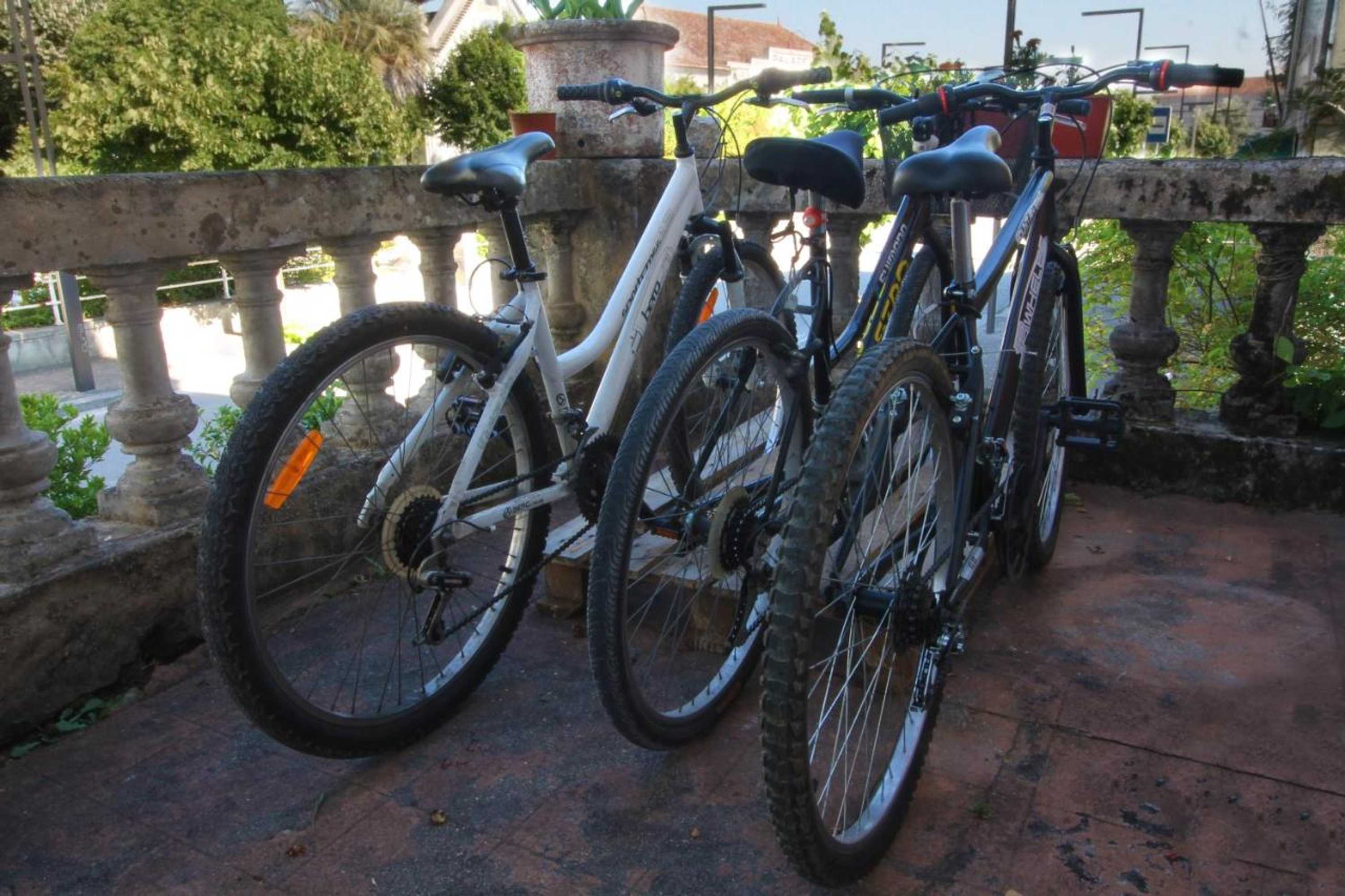 Gift card for Hotel Do Parque, Boutique Hotel - Curia