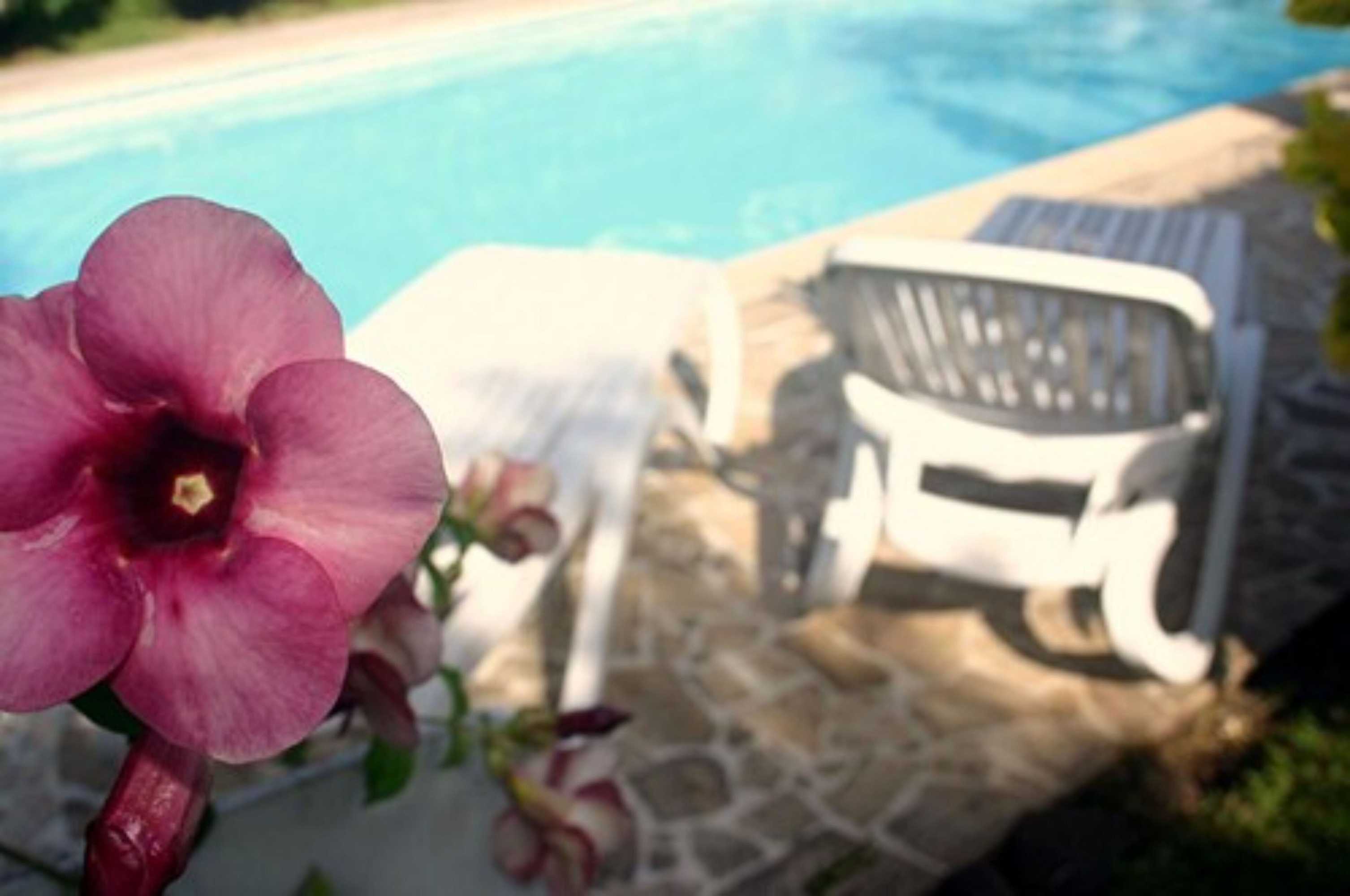 Gift card for Pension de la Plage Gift card for Pension de la Plage