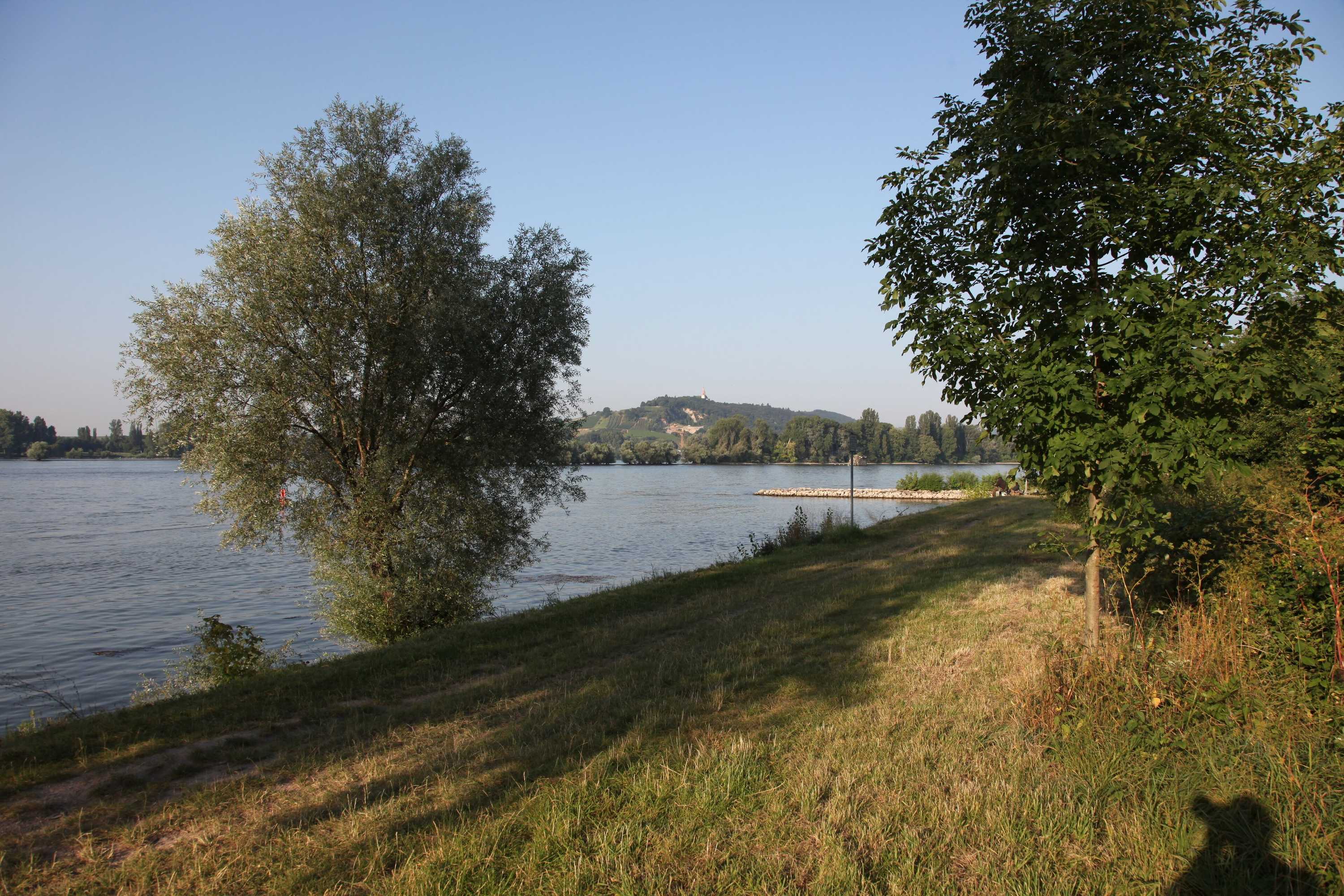 Gift card for Akzent Waldhotel Rheingau Gift card for Akzent Waldhotel Rheingau