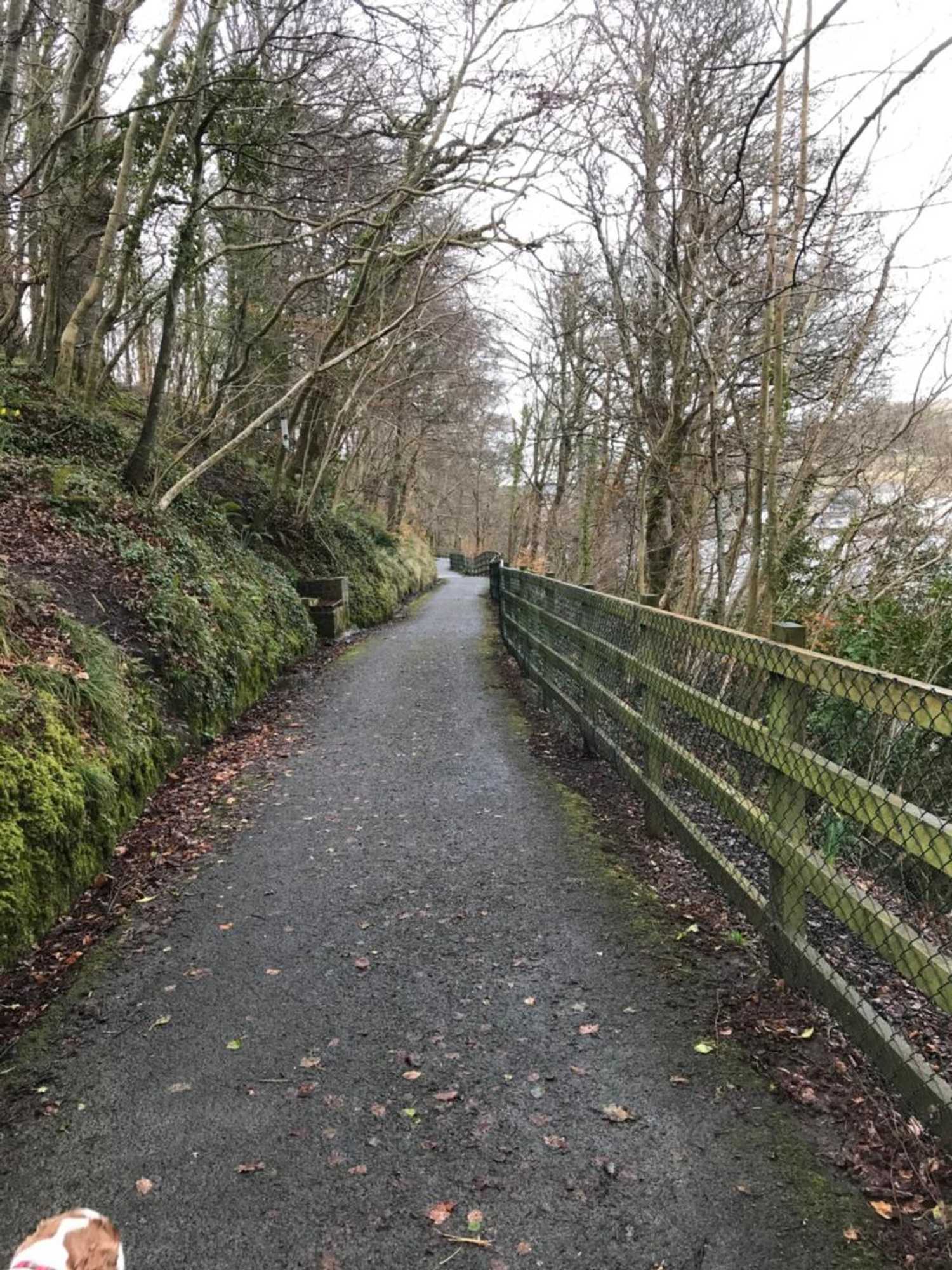 Gift card for Ros Dún House