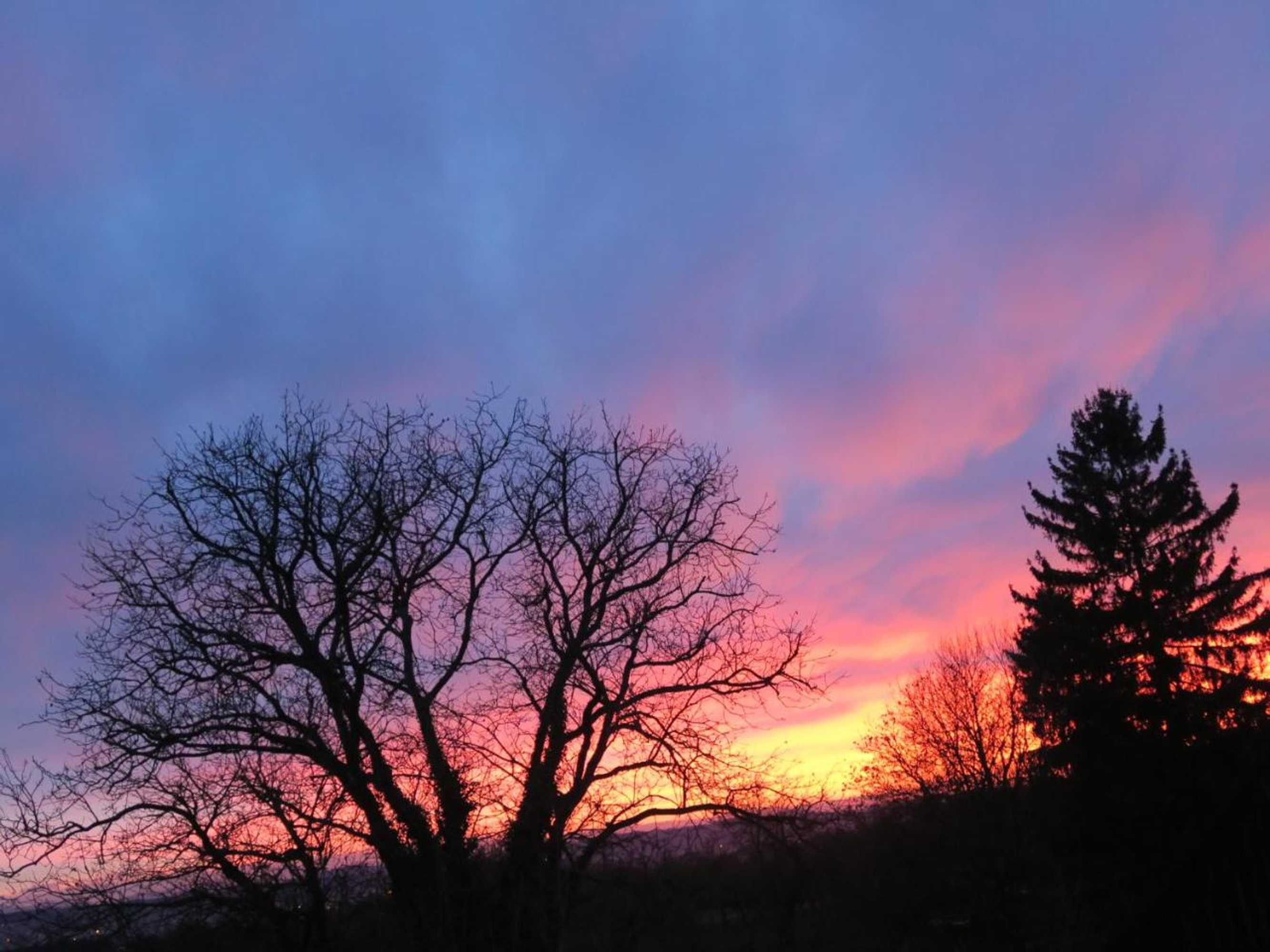 Gift card for Haus St.michael