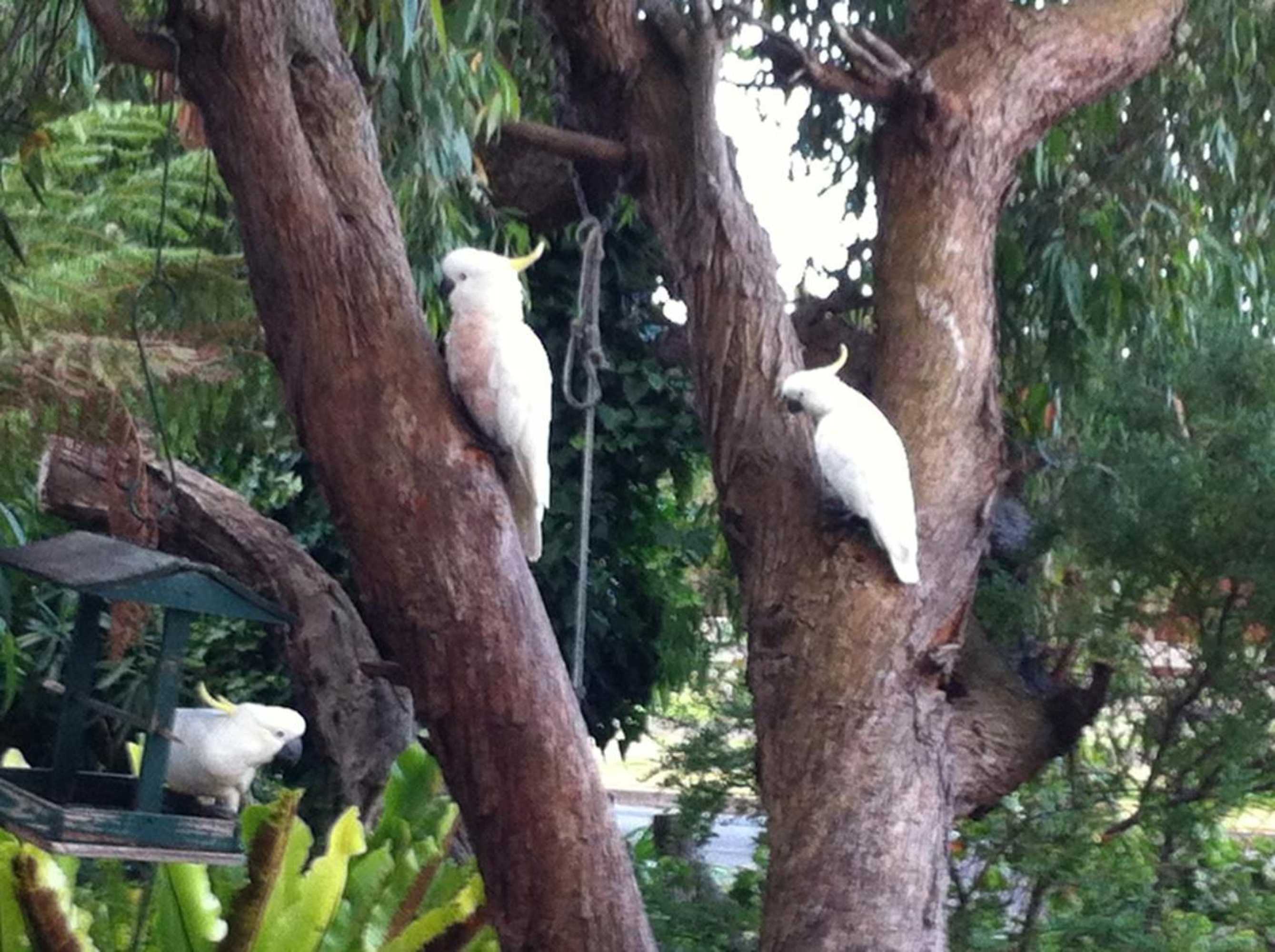 Gift card for Sea Salt Bnb