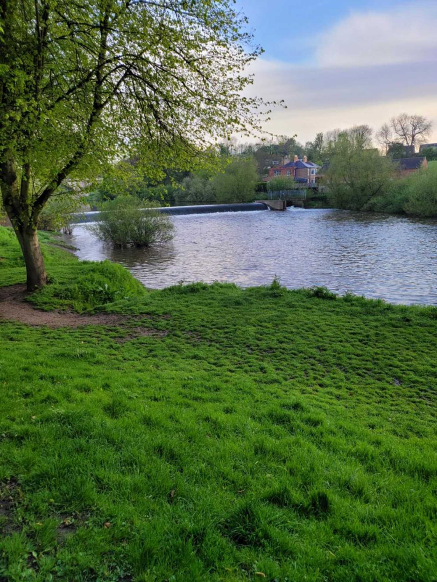 Gift card for The Jackdaw