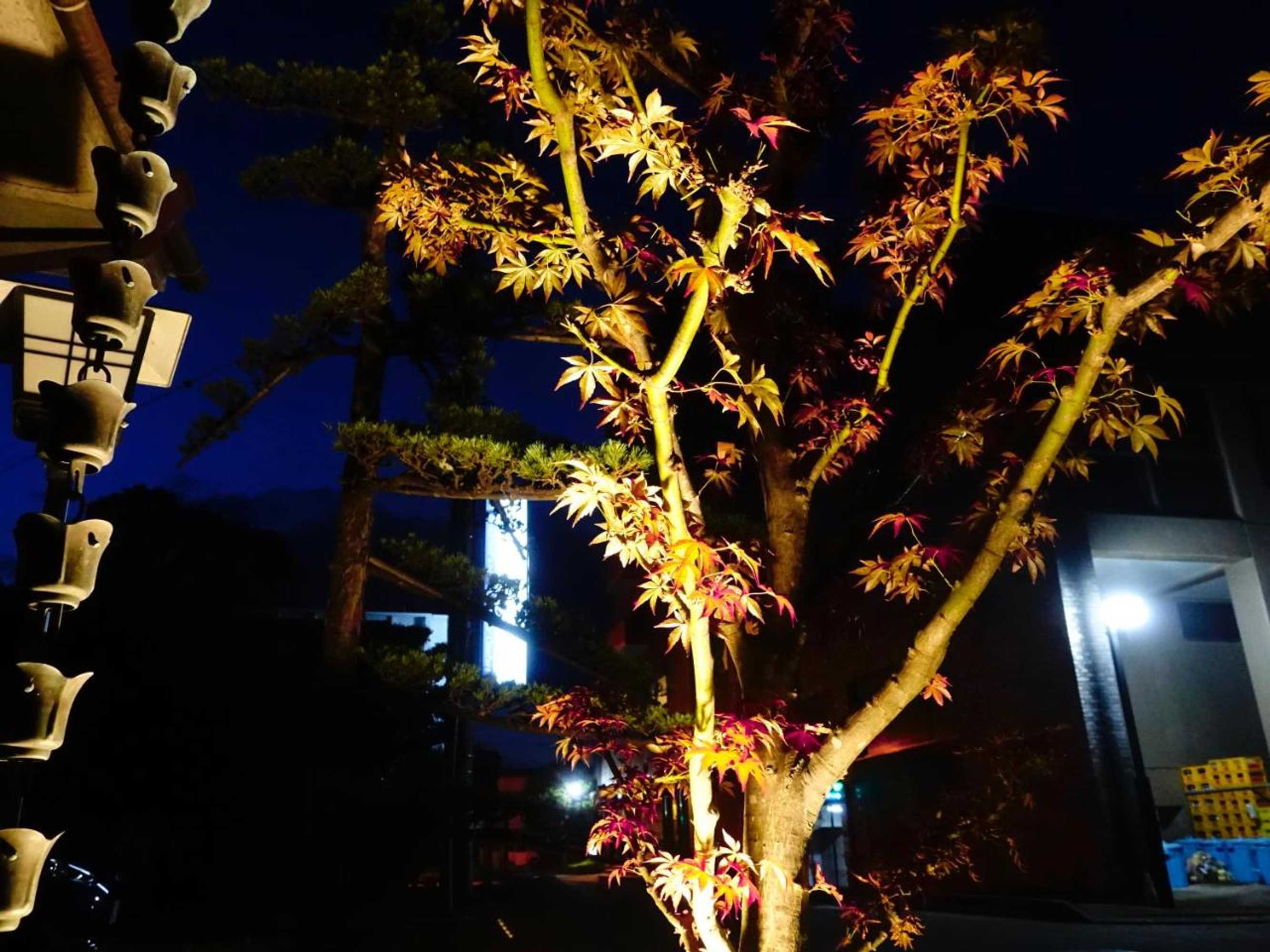 Gift card for Oimatsuen