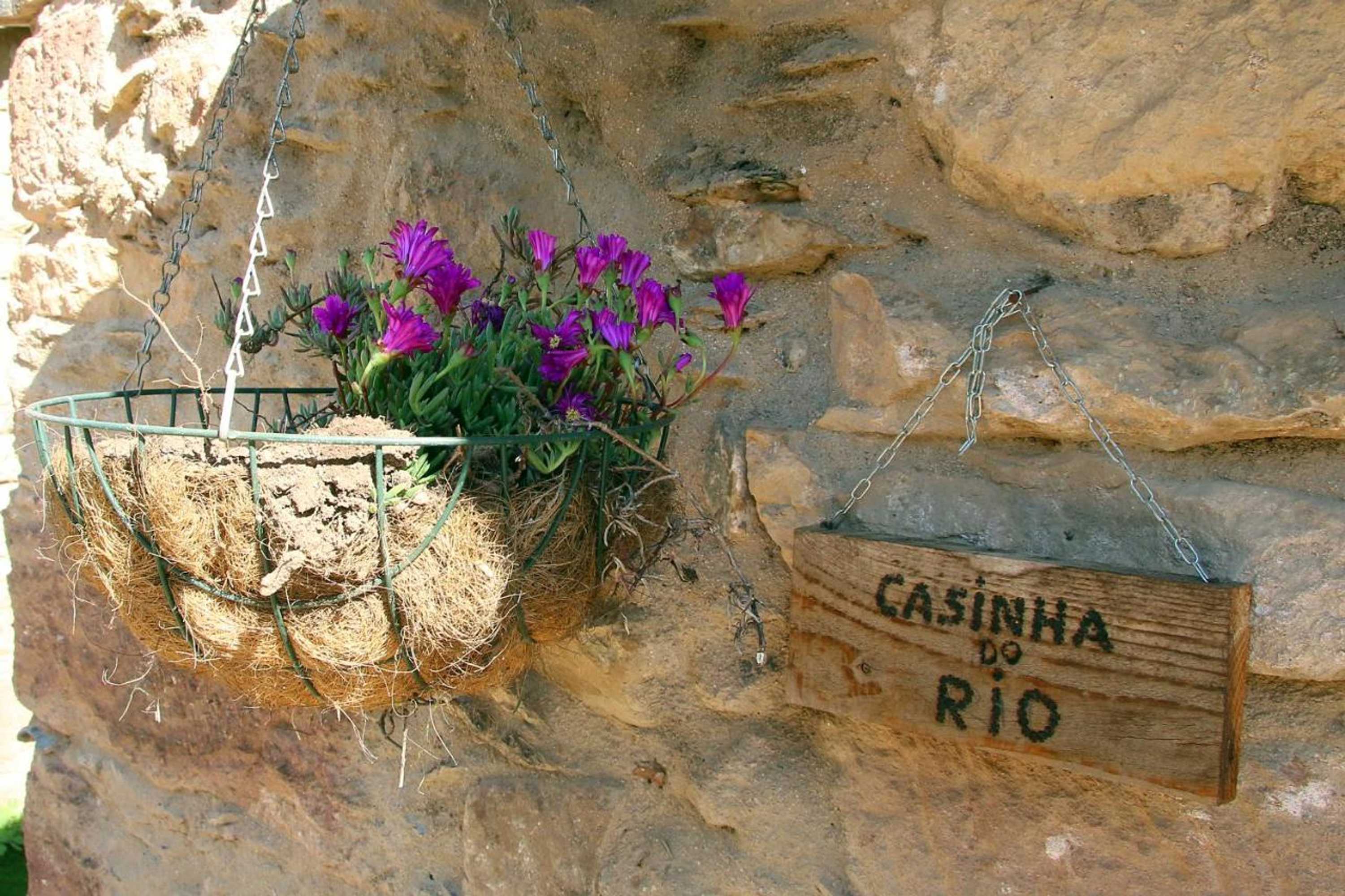 Gift card for Sete Quintas