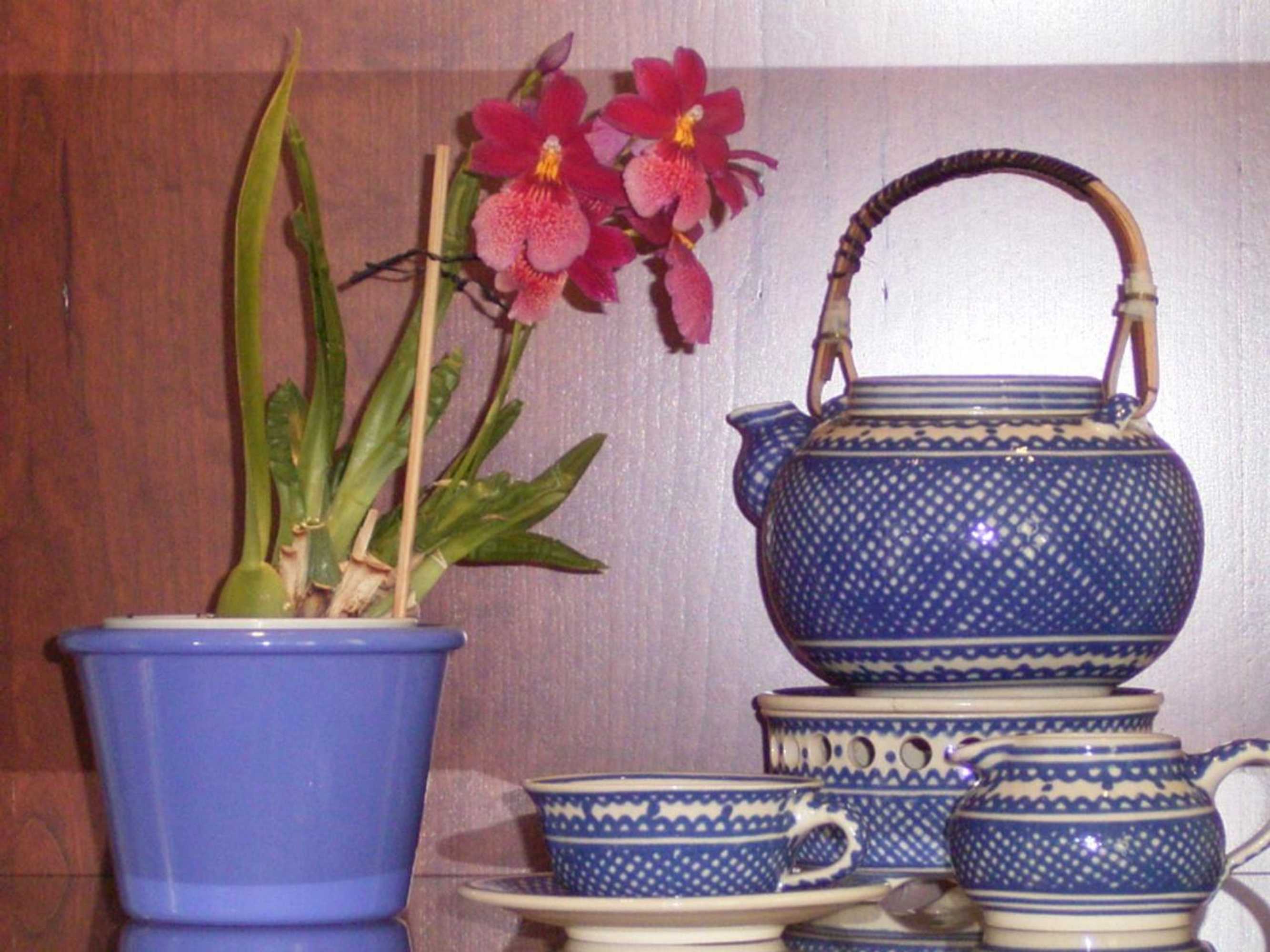 Gift card for Villa Linke am Bodensee