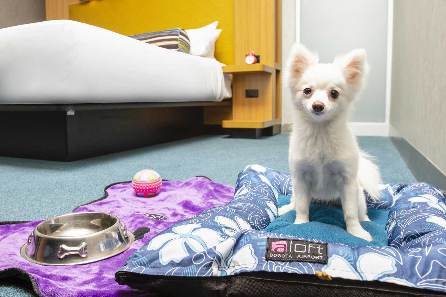 Gift card for Aloft Bogota Airport Gift card for Aloft Bogota Airport