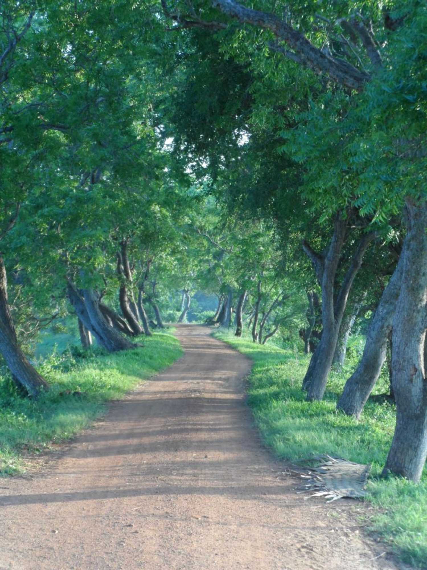 Gift card for Twin Waters Resort