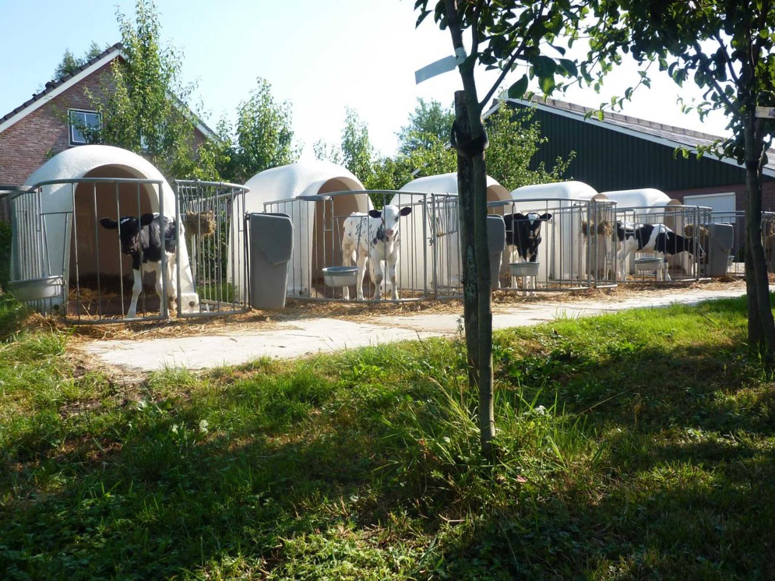 Gift card for Boerderij 