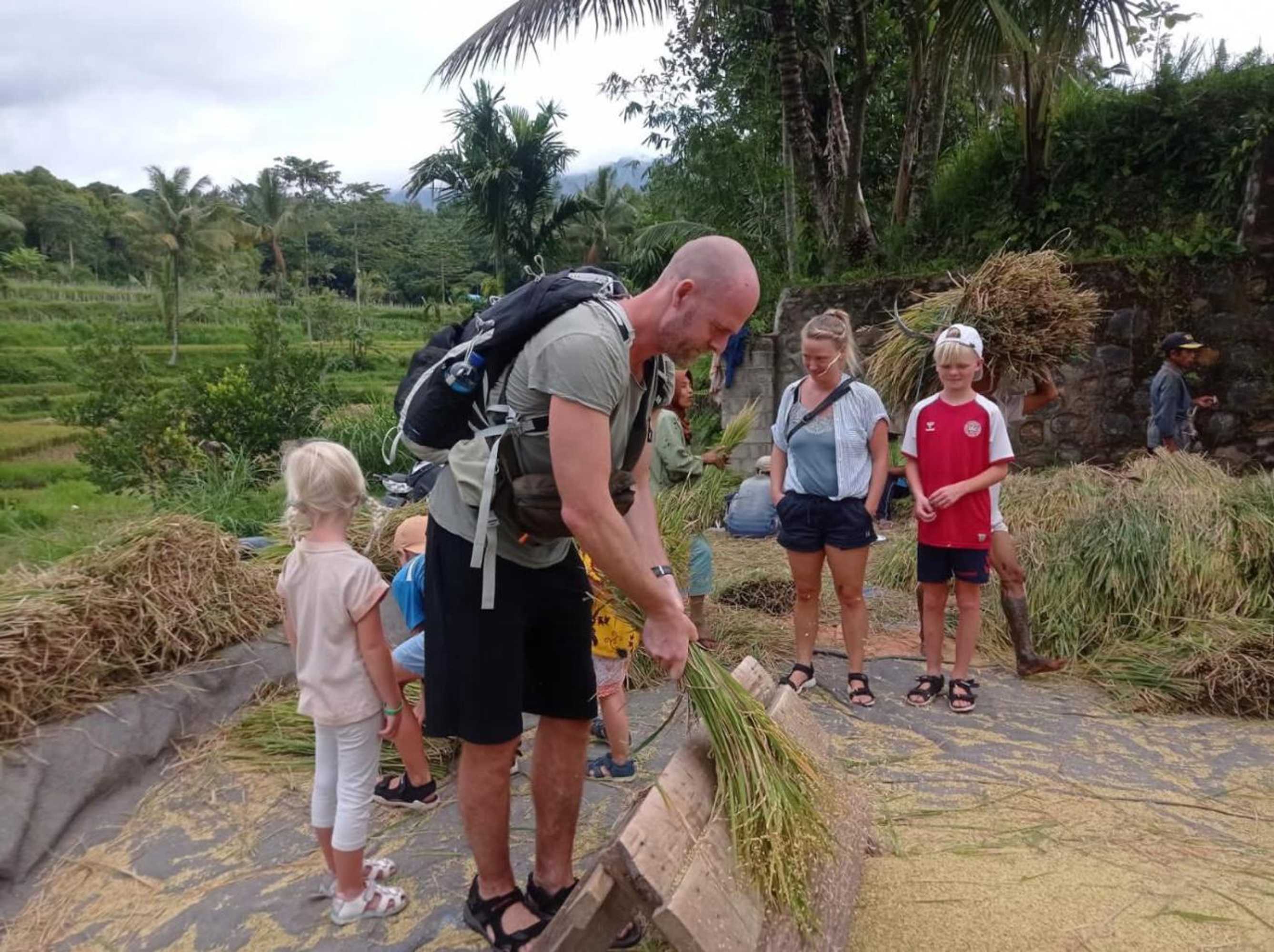 Gift card for Pondok Tetebatu Cottages And Cafe