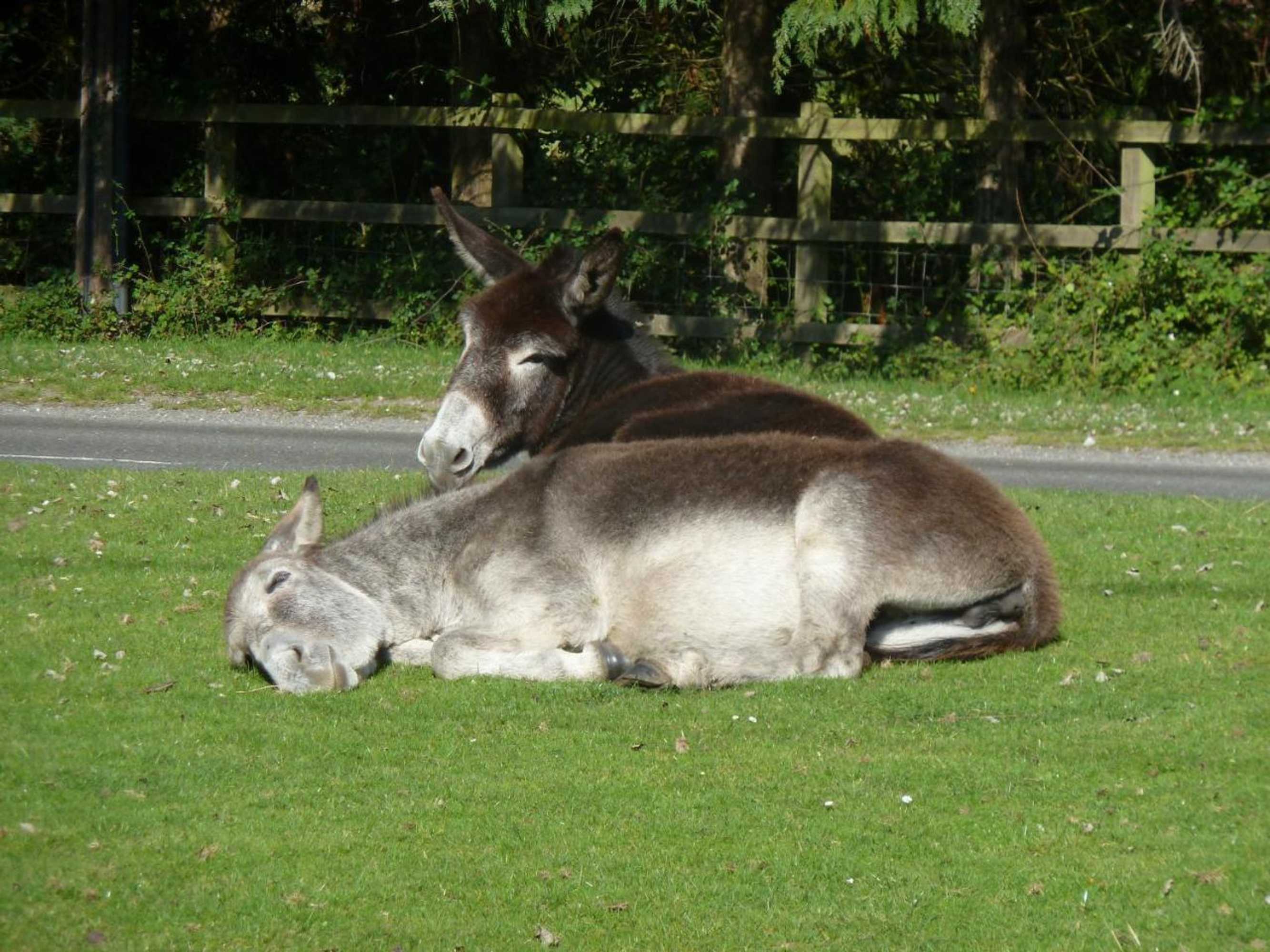 Gift card for Cameron House