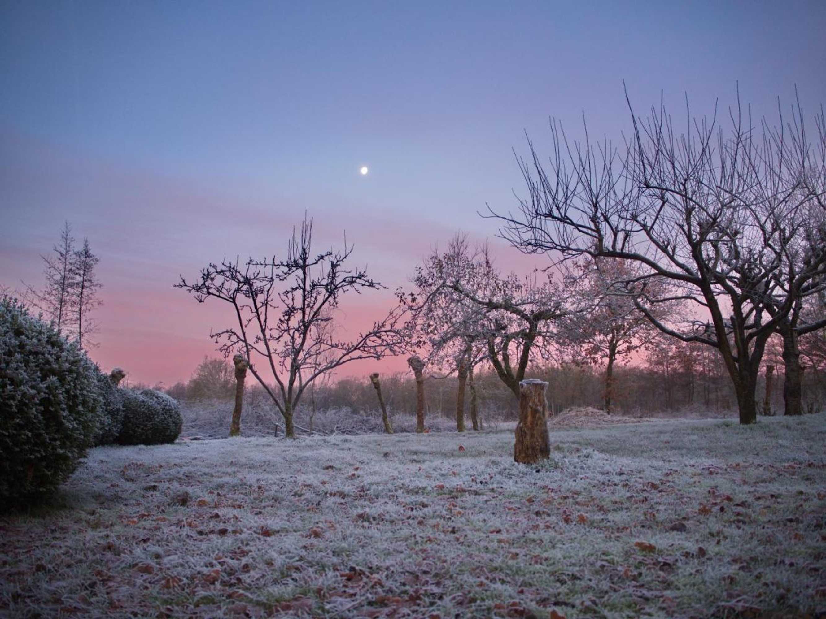 Gift card for Bed & Brochje Burgum