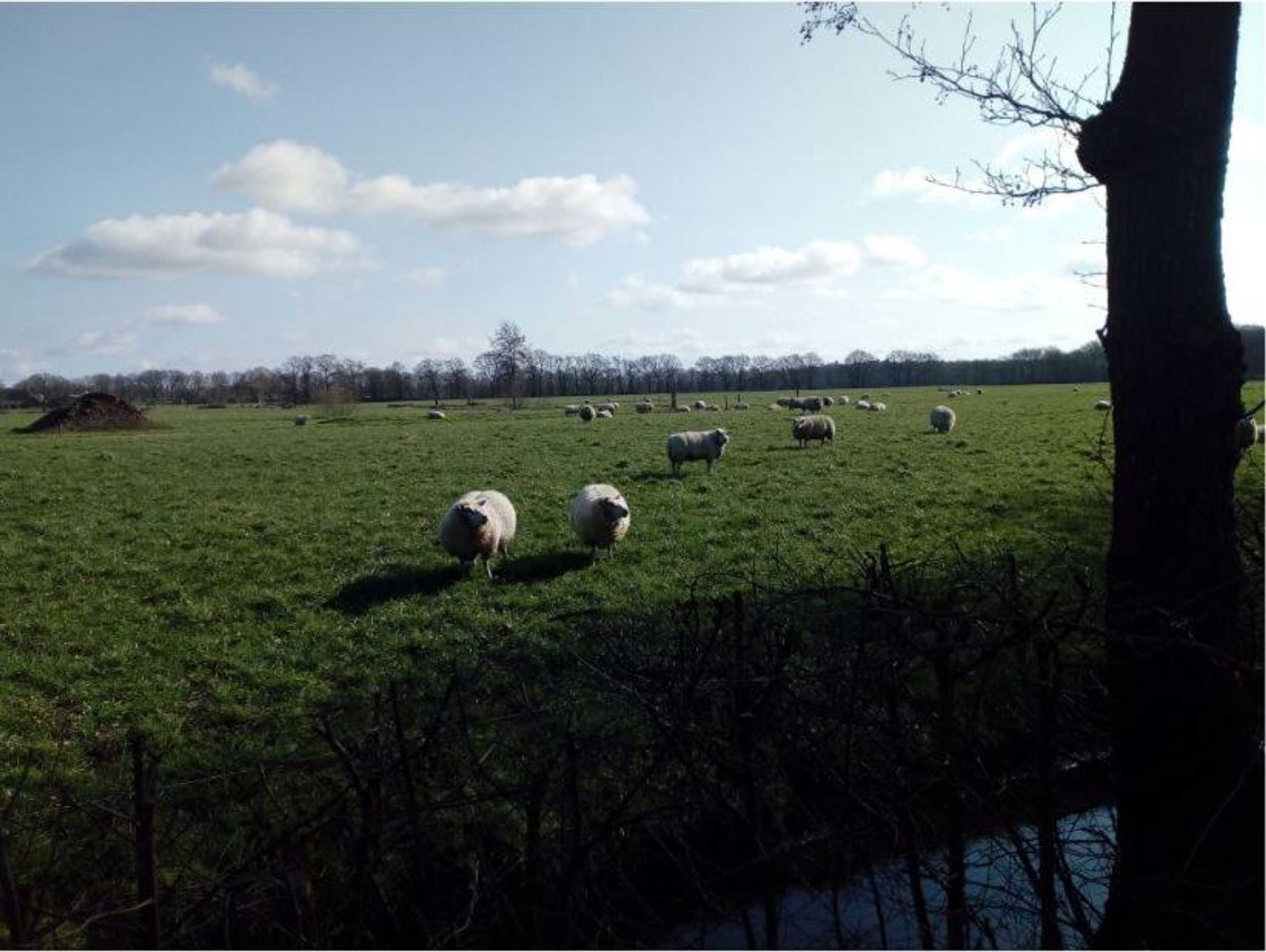 Gift card for B&b De Flecht - De Ljip